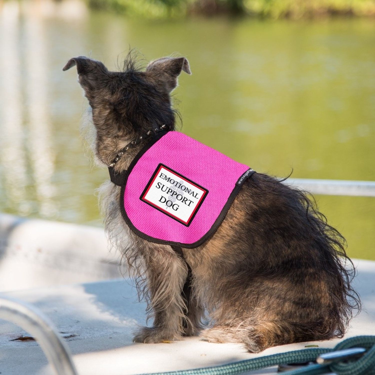 Emotional Support Dog Vest - Complete with Two Patches (4-7 Pounds, RED) - Includes 5 Federal Law ESA Handout Cards