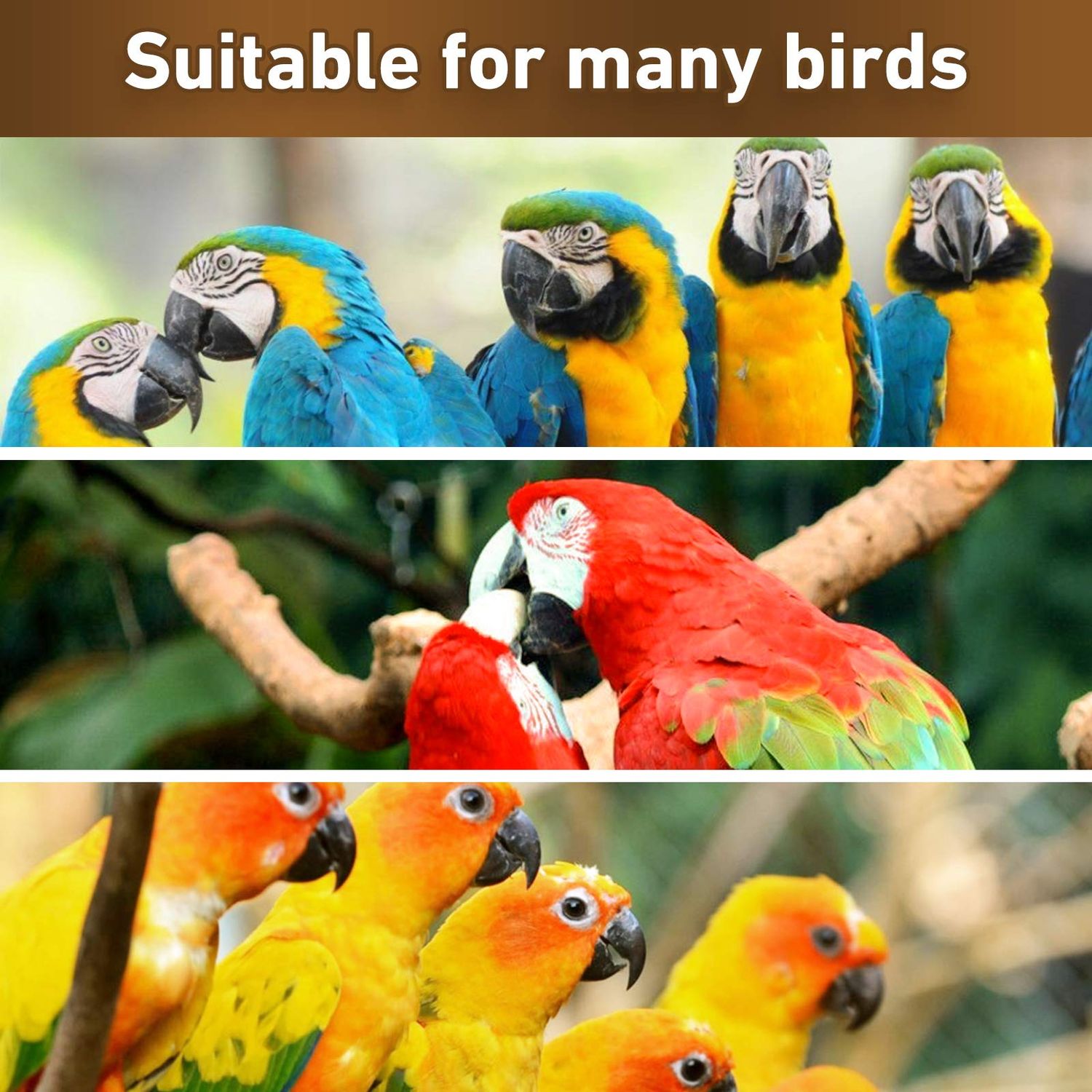 MYFAMIREA Parrot Toys for Medium Birds, Parrot Chewing Toy Cardboard Bird Toys Natural Wooden Bird Cage Chewing Toy for African Greys, Cockatoos, Macaws, Small and Medium Birds