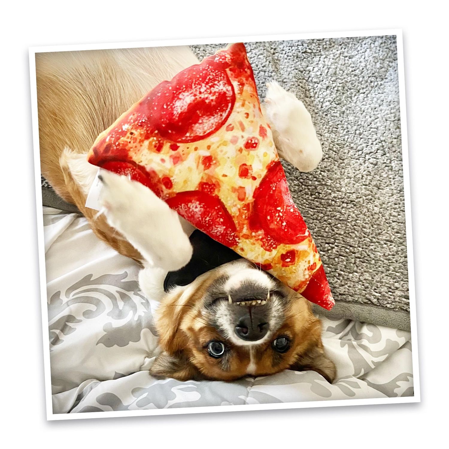 Doggijuana Bundle | Interactive Dog Toy with Juananip Refill | Includes Refillable Plush Dog Toy & Organic Juananip Refill for Natural Calming |Engaging and Relaxing Pet Play (Pizza)