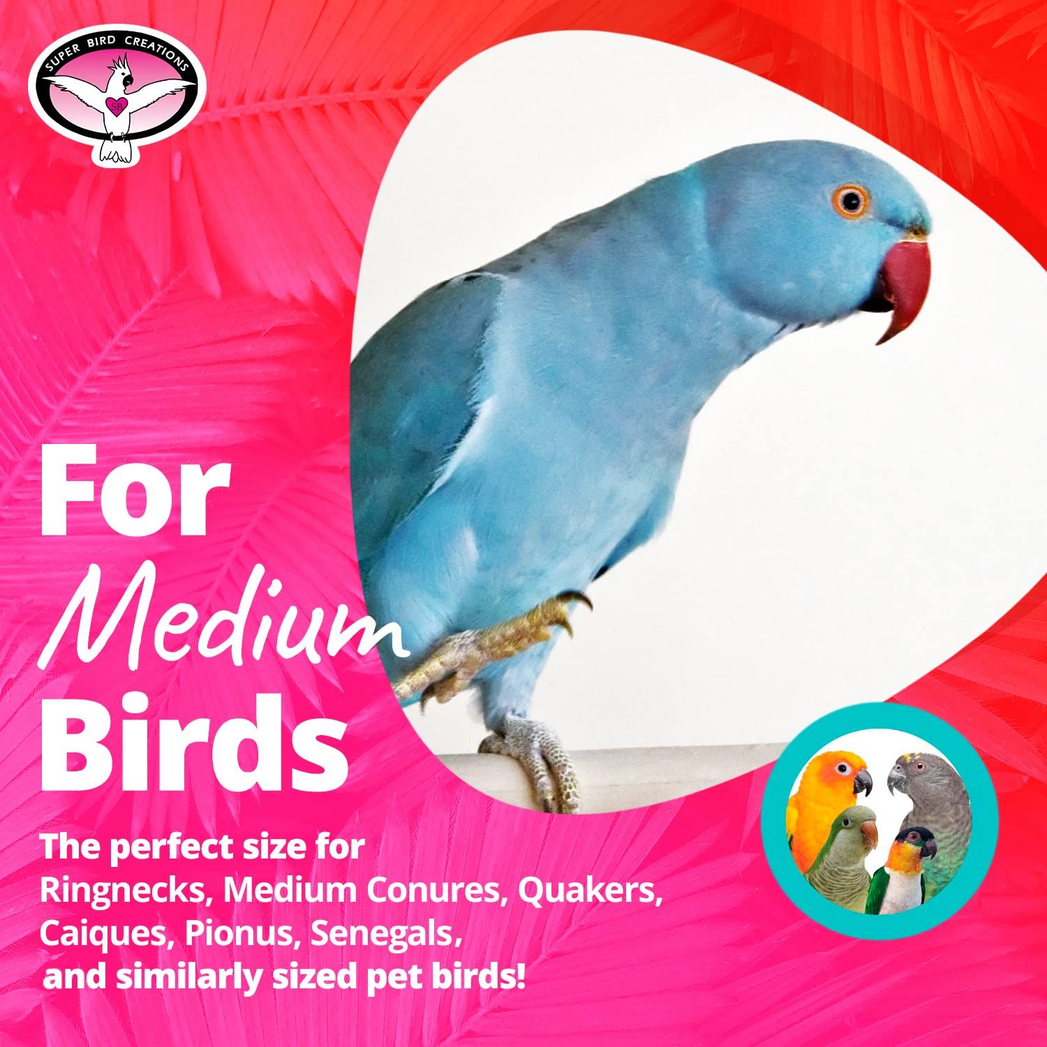 Super Bird Creations SB468 Dancing Spools Bird Toy with Colorful Wooden Spools and Cotton Rope - Ideal for Ringnecks, Parrots, Quakers - Preening and Chewing Toy - Medium Bird Size - 13" x 8" x 2"