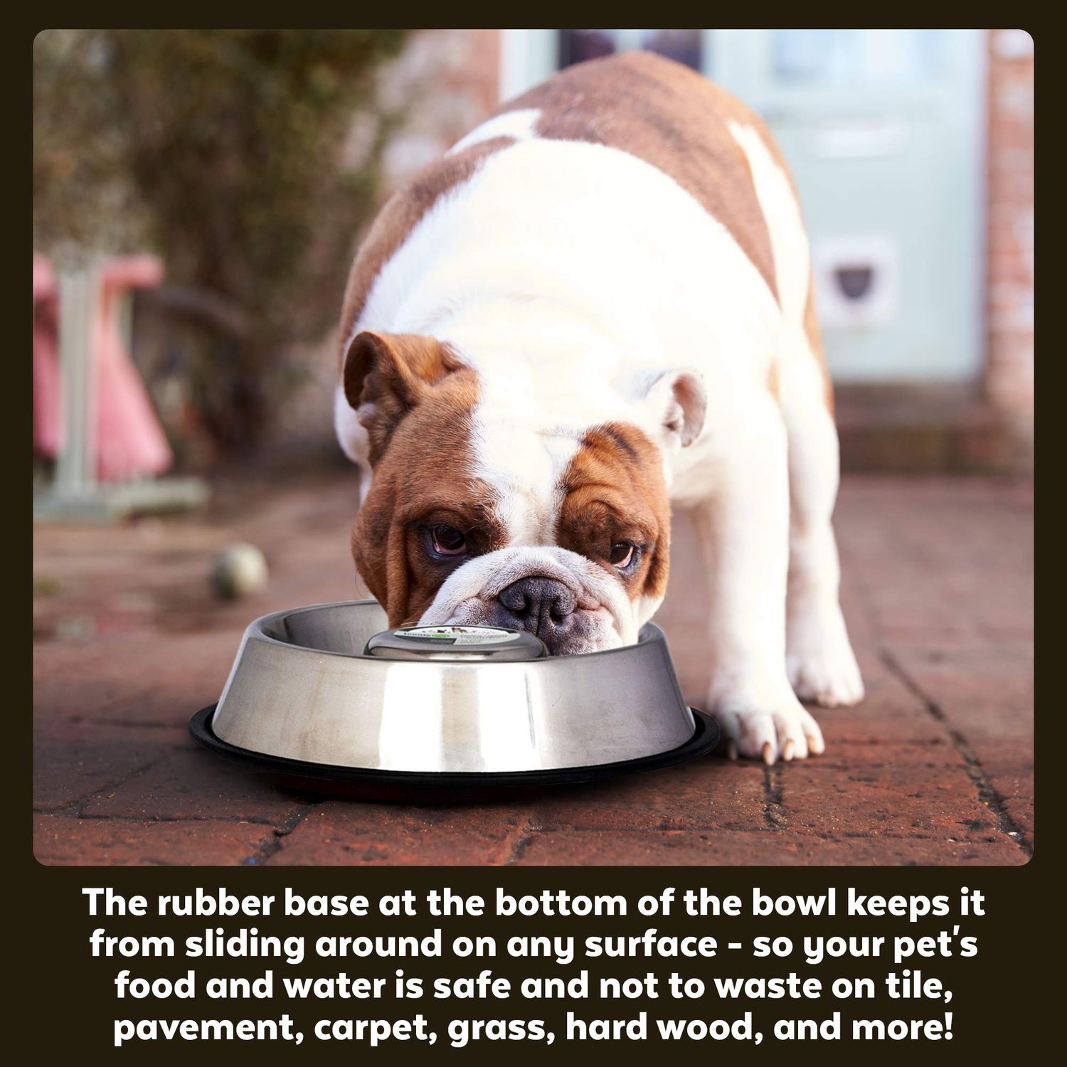 Iconic Pet Stainless Steel Slow-Feed Bowl Medium/24-Ounce Dishwasher Safe, Durable, and Featuring a Raised Center for Dogs and Cats