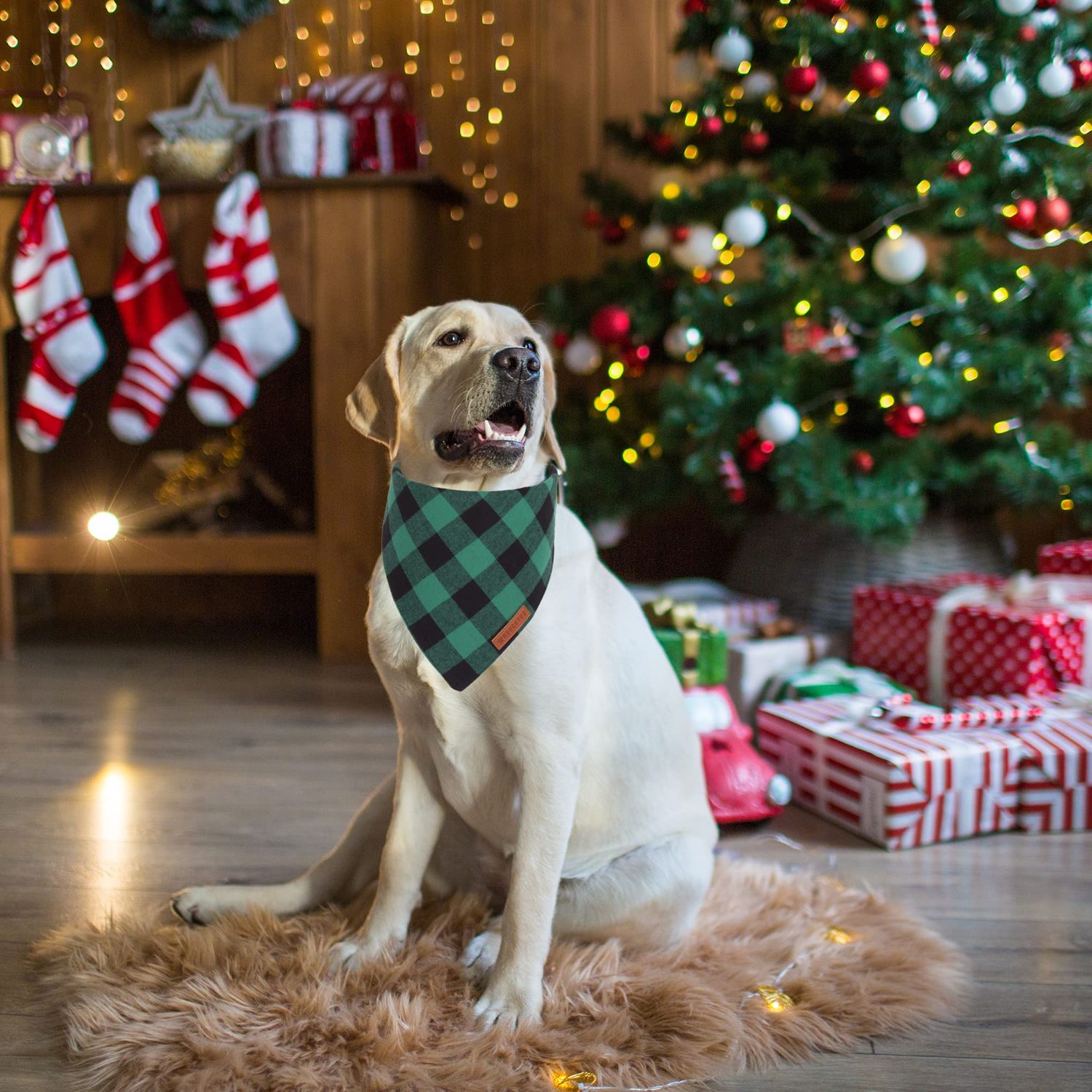 ADOGGYGO Christmas Dog Bandanas 2 Pack, Premium Cotton Fabric, Multiple Sizes Offered, Red Green Plaid Bandanas for Medium Large Dogs (Large, Xmas)