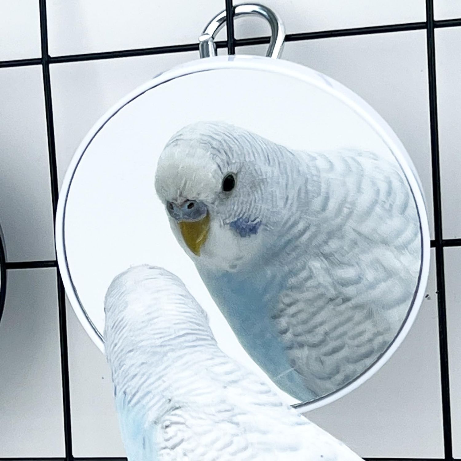 FlidRunest Bird Mirror Toy for Cage, 10X Bird Parrot Interactive Playing Cage Toy with Hook, Parrot Toy Bird Cage Mirror for Cockatiel, Parakeets, Lovebirds, Finch, Canaries, Budgie -2PCS