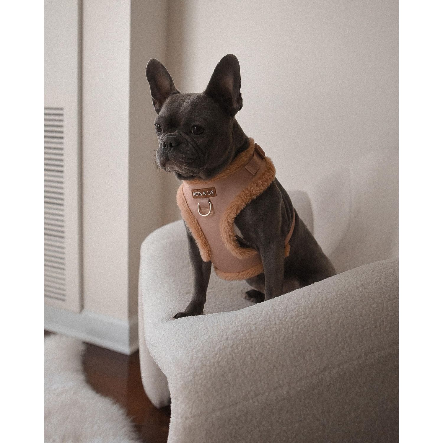 Premium No Pull Adjustable Dog Harness Neoprene Luxury Breathable Lightweight Small Medium Dogs Comfortable Puppy Training Vest 2 Leash Clips Walking & Control (Beige Fur Trim, S)