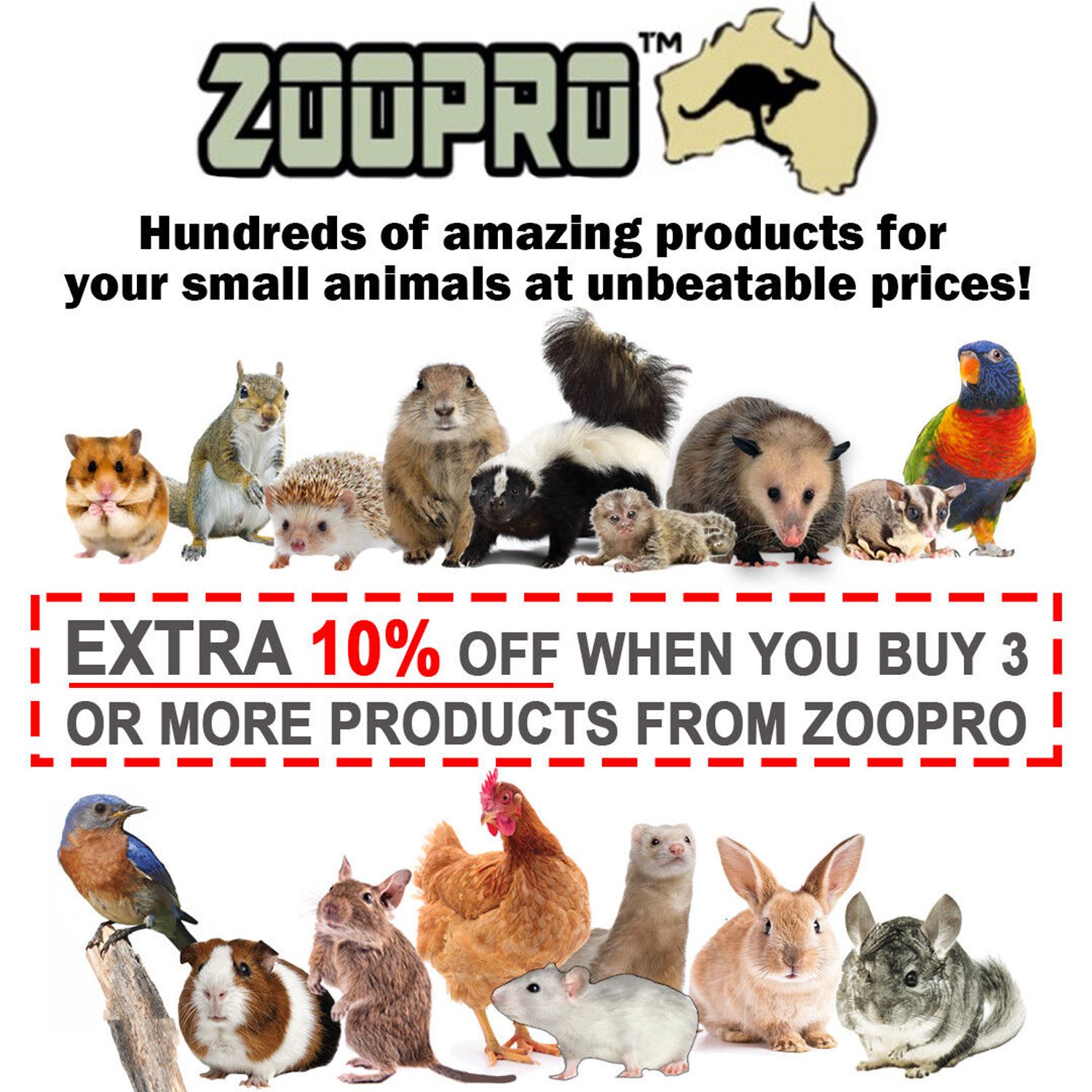 Pom Pom Jumper - Interactive Pet Toy - Sugar Gliders, Marmosets, and More!
