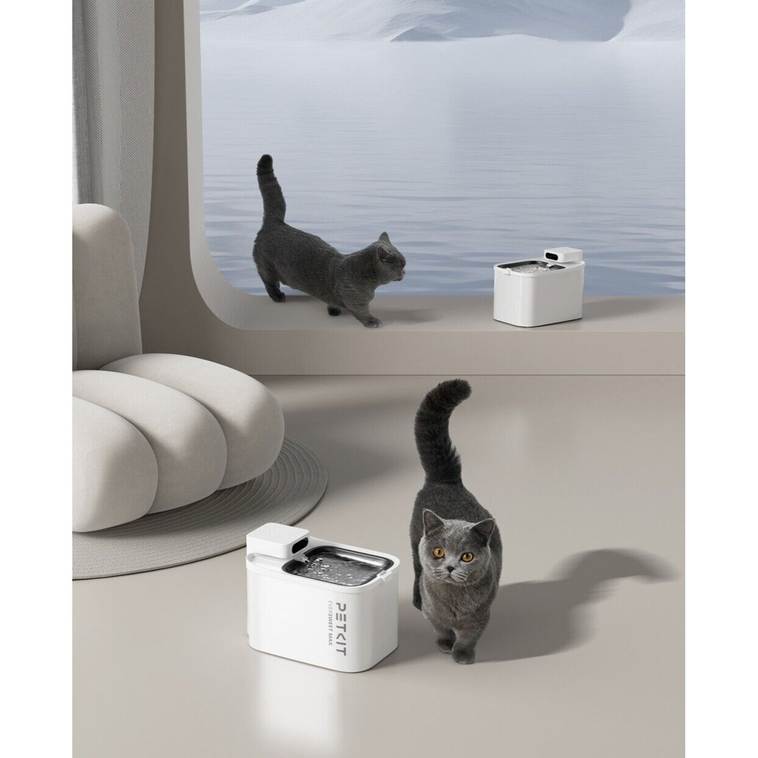 PETKIT Cordless Cat Water Fountain 3L 105oz Wireless Pet Dispenser Smart App Qui