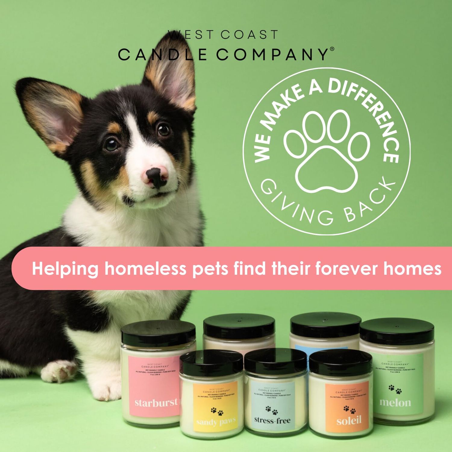 Pet Friendly Wax Melts | Pet Safe Wax Melts | All Natural Dog Safe Wax Melts | Non-Toxic Wax Melts | Pet Odor Eliminator | Pure Soy Wax Melts | Veterinarian Approved (Refresh)