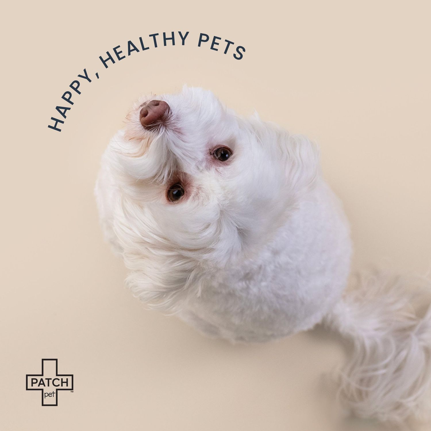 PATCH Eco Pet First Aid Kit for Dogs and Cats. Cat and Dog First Aid Kit with Bandages, Gauze Pads & Glove. Emergency First Aid Kit for Animals Including Puppy
