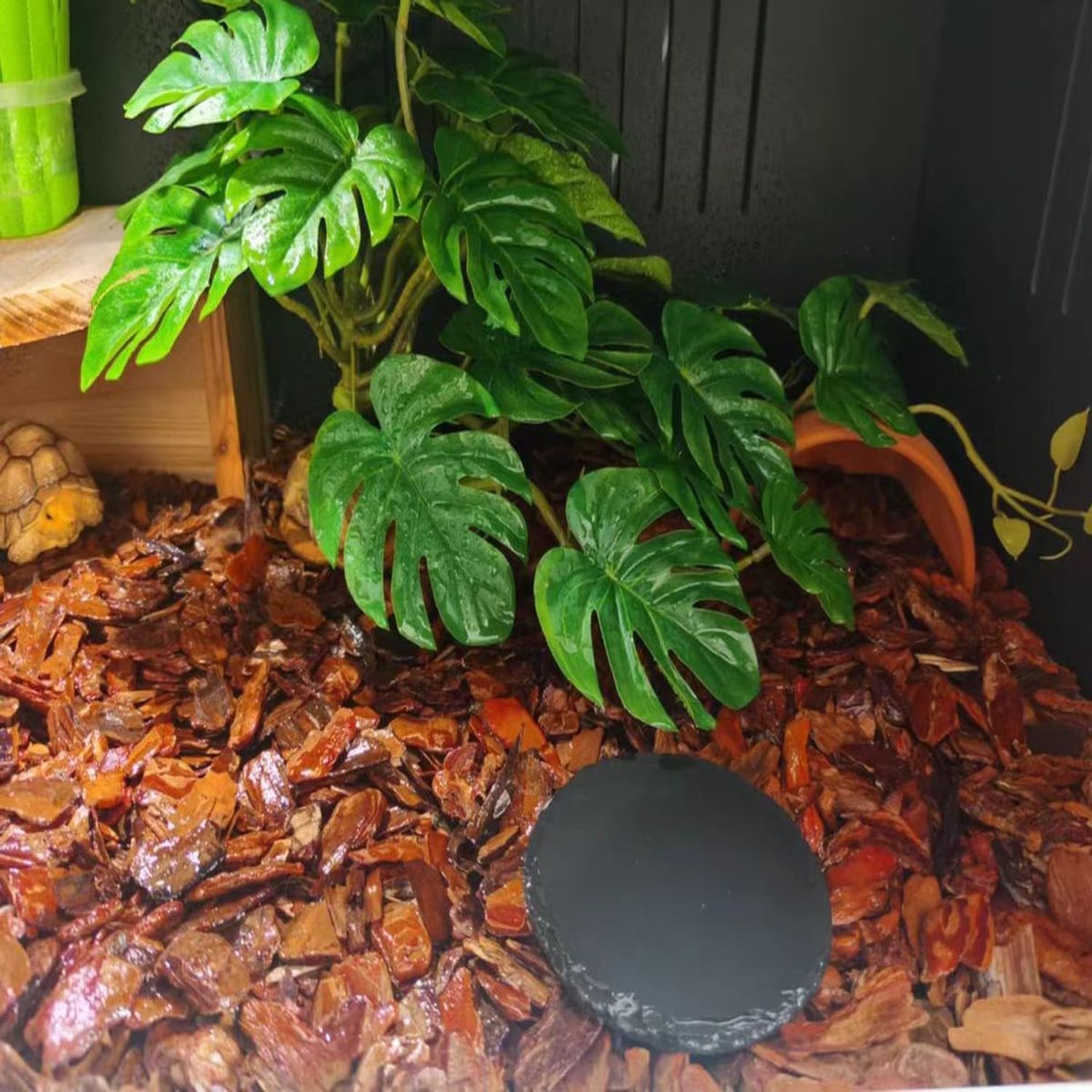 KERUIDENG Reptile Plants for Terrarium Decor,Amphibian Habitat Decor,Artificial Plants for Gecko Chameleon Snake Tortoise Tank Accessories with Base (Monstera deliciosa)
