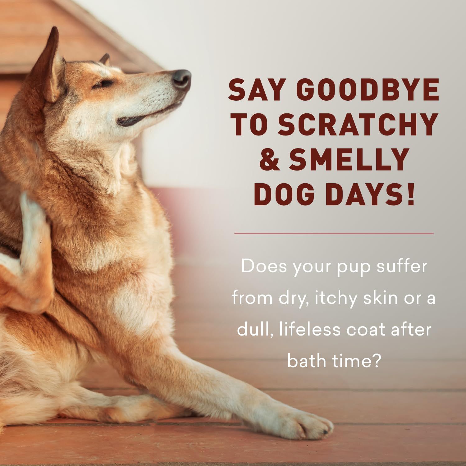 Dog Shampoo 2-in-1 | All Natural Dog Shampoo and Conditioner | for All Fur & Skin Types | Cleans, Conditions, & Detangles for The Healthy Fur | Just Nutritive | 16 Fl Oz