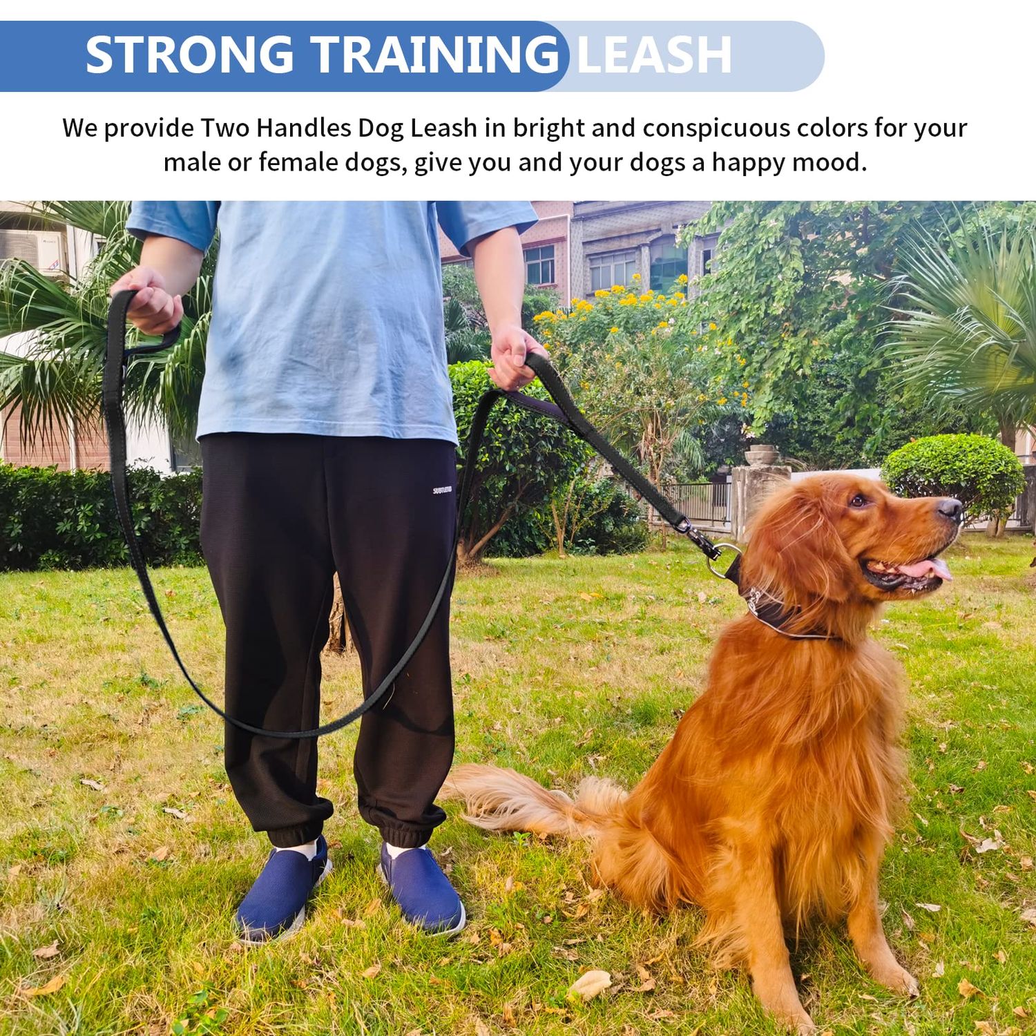 Strong Heavy Duty Dog Leash - 6ft Reflective Nylon Training Leash with Soft Padded Double Handle & Auto Lock Frog Clip - Safety Traffic Control for Large Medium Small Dogs No Pull Walk Black Black,6ft