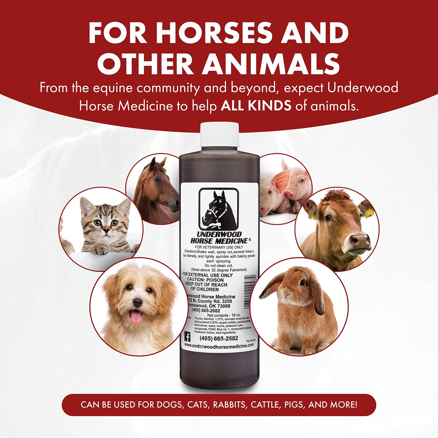 Topical Wound Spray Kit - 16 oz Refill Bottle w/Baking Powder, Funnel, Spray Trigger, & Shaker - Equine First Aid Kit Must-Have Antiseptic Spray for Wounds - Horse Wound Care for Equine & Animals