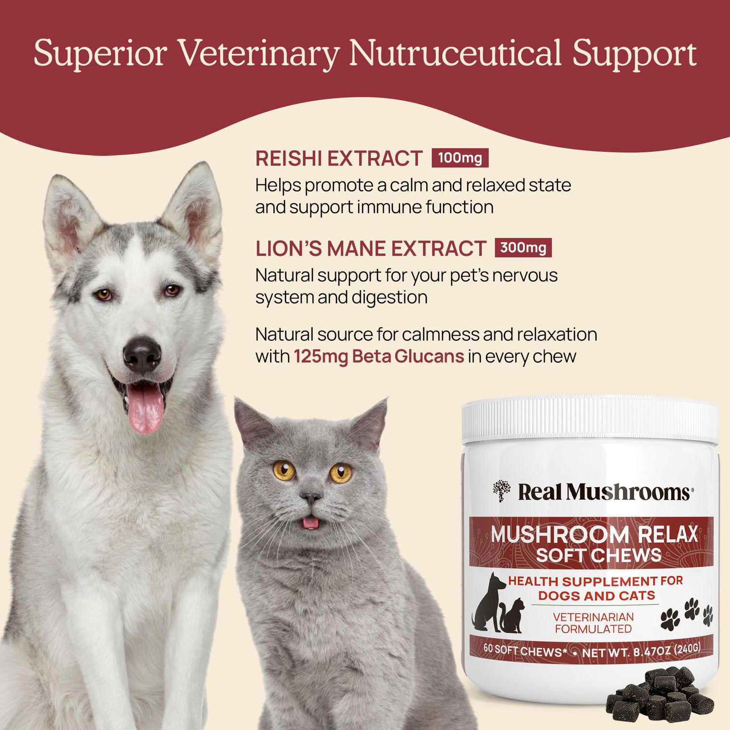 Real Mushrooms Calming Chews for Dogs - Cat Dog Treats w Reishi Lions Mane, Dogs, Relaxation, Bites Pet, 60ct