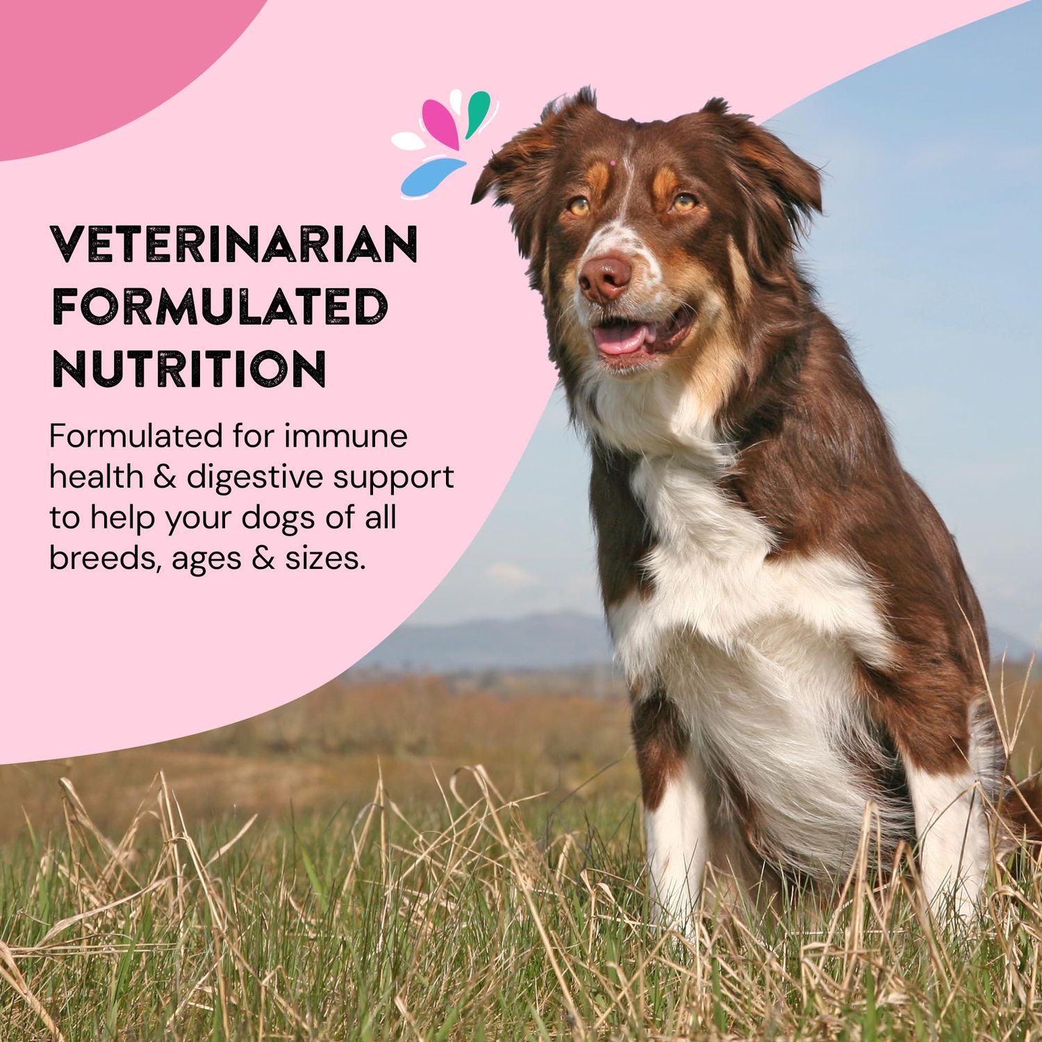 Happy Go Healthy Daily Wellness Supplements for Dogs | Boosts Immune System Support and Digestive Gut Health for Dogs and Puppies | All Natural Ingredients Tasty Kibble Dog Food Topper | 21 Count Pack