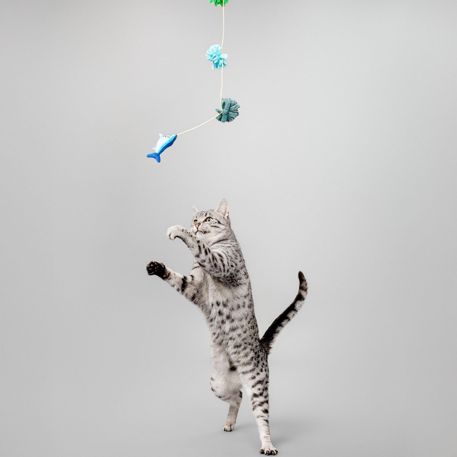 GRRREEN Stuffed Animal Cat Toy | Arctic Collection | Fish Teaser Toy for Indoor Cats | Cute Interactive Plush Toys for Swatting and Playing | Made of Eco-Friendly & Recycled Materials - Go Green!