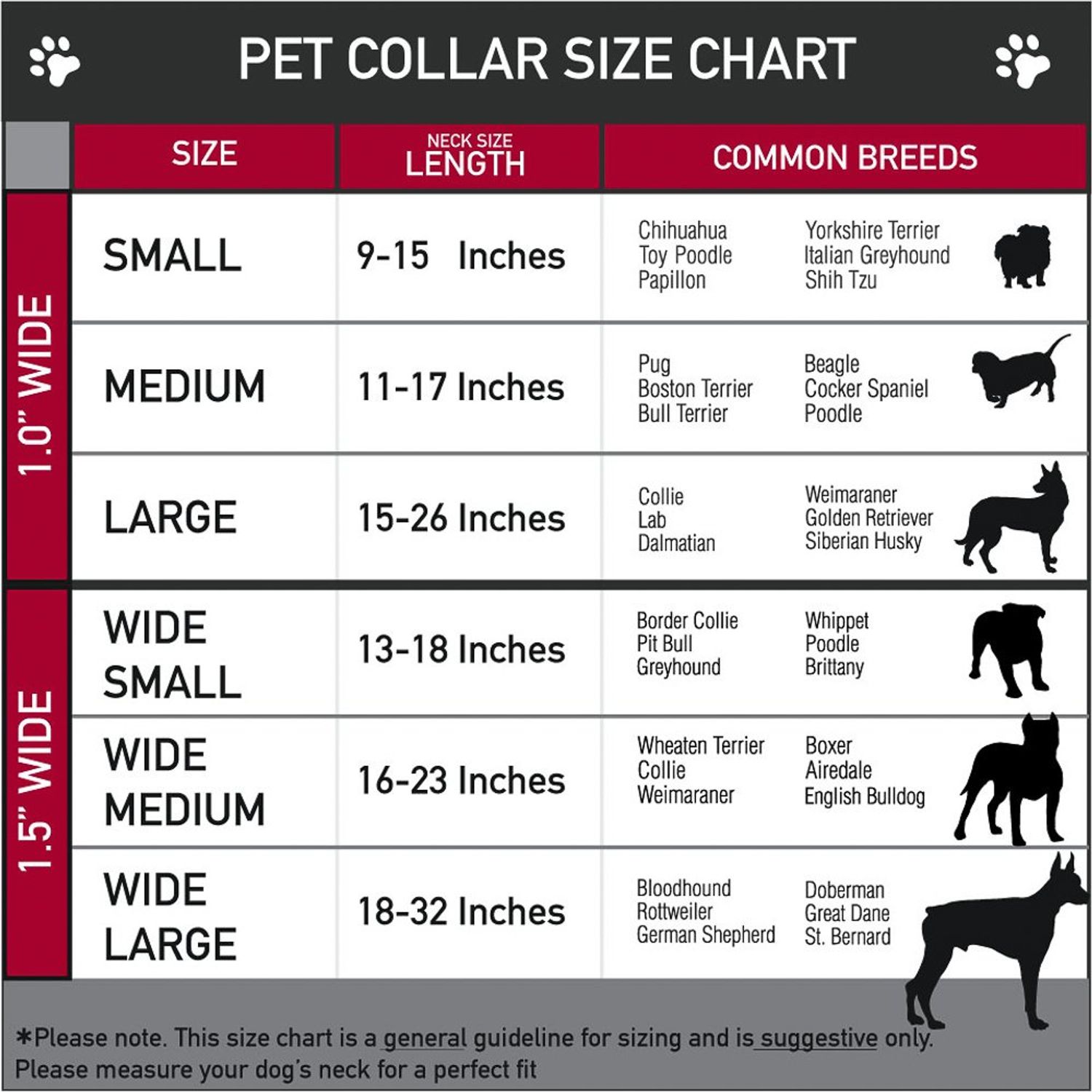 Buckle-Down Seatbelt Buckle Dog Collar - Death or Glory CLOSE-UP Black - 1.5" Wide - Fits 13-18" Neck - Small