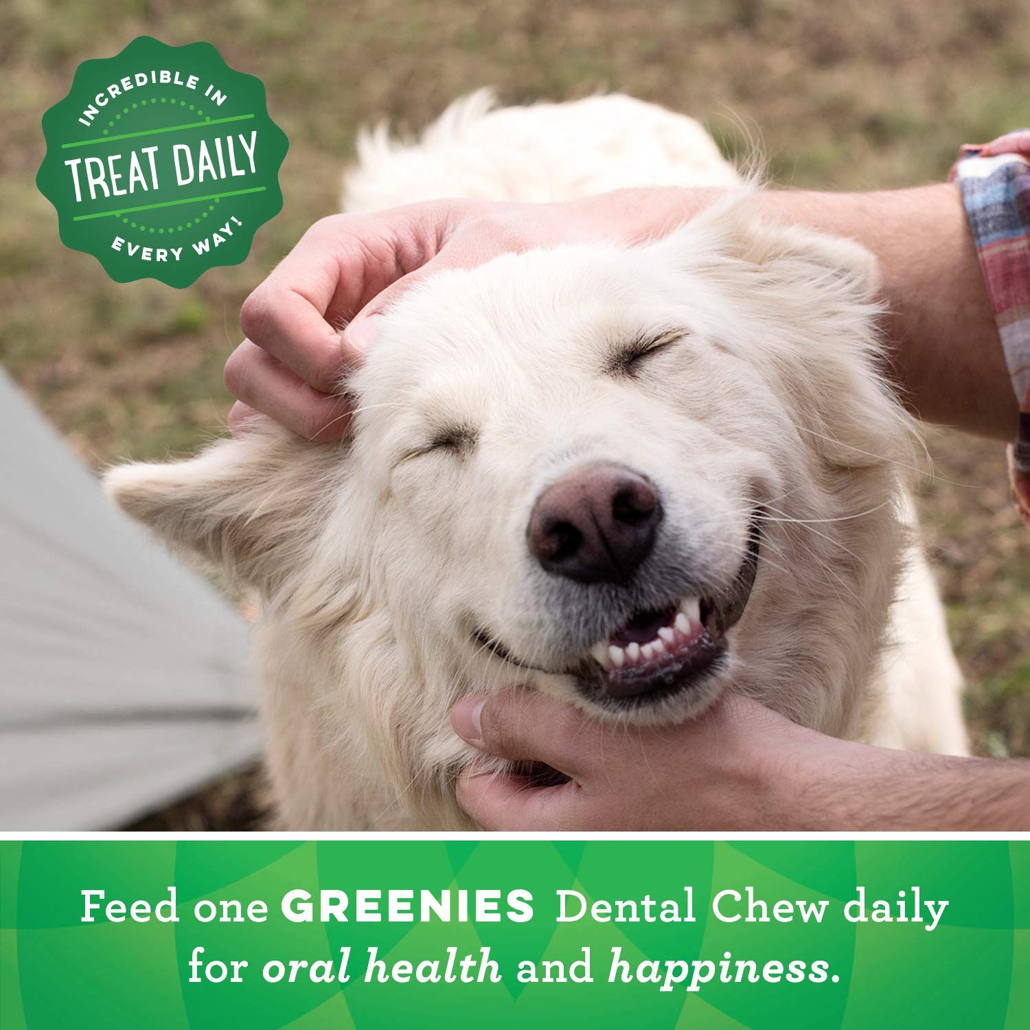 Greenies Petite Natural Dental Care Dog Treats Blueberry Flavor, 12 oz. Pouch (20 Treats)