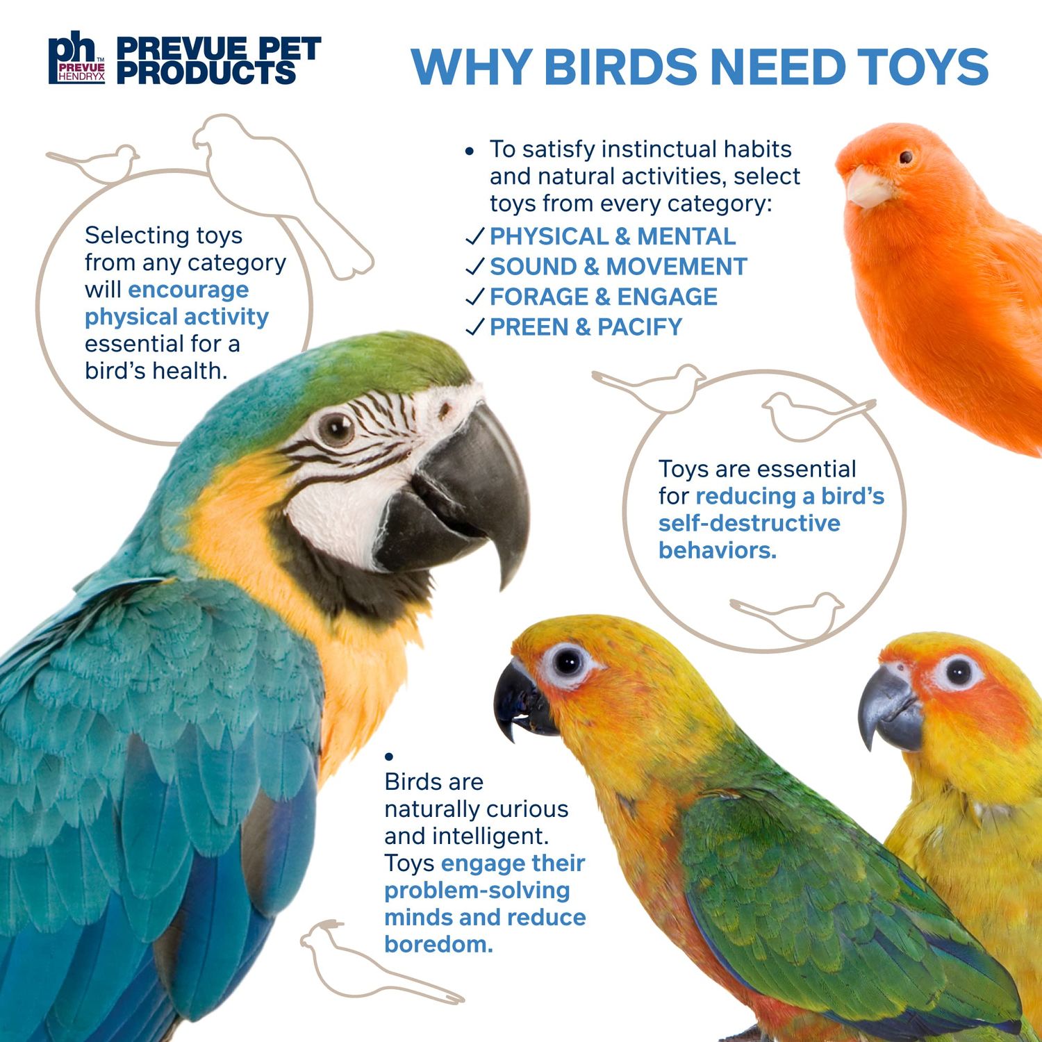 Prevue Pet Products Physical & Mental Bodacious Bites Sassy Bird Toy 60951
