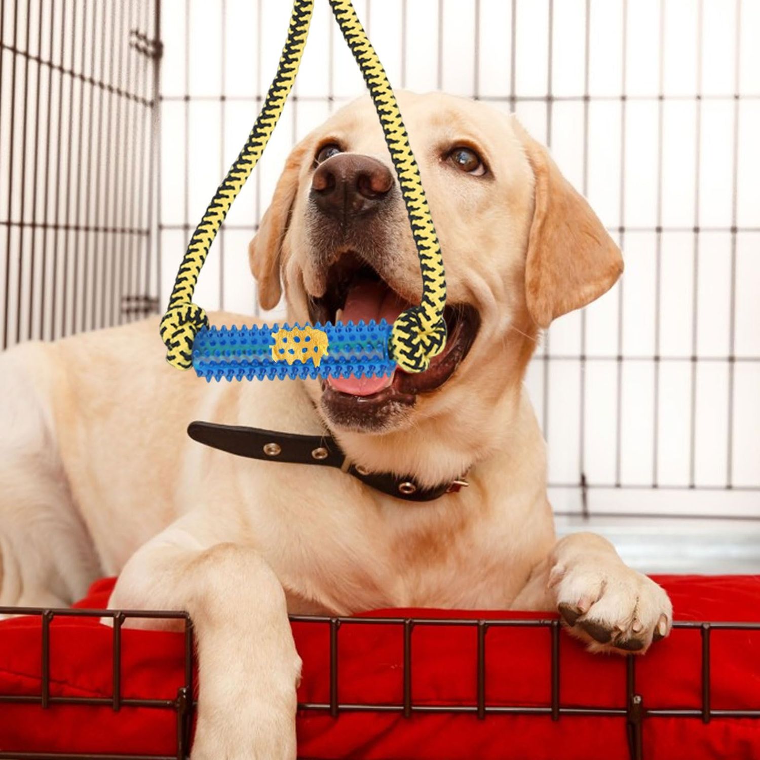 ChengFu Interactive Dog Toys, Crate Training Aids for Puppies, Puppy Teething Toys,Peanut Butter Dog Food Treat Dispenser Toys