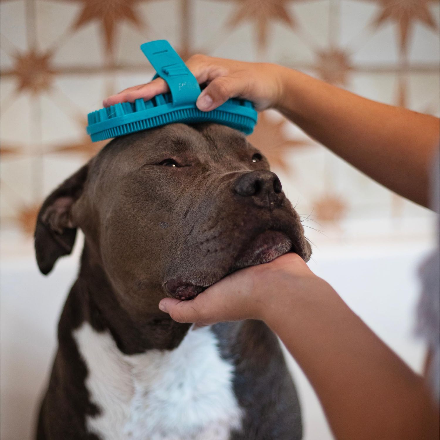 Messy Mutts Reversible Silicone Dual Sided Pet Grooming Brush | Gentle Massage, Brushing, Bathing and Dog Hair Removal Tool | One Size Fits All | Blue