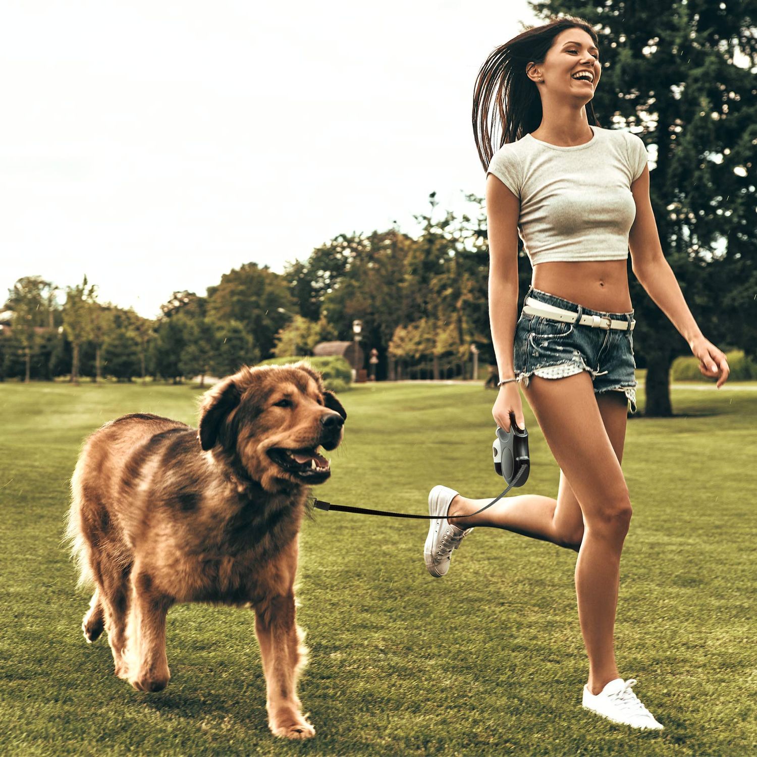 Fida Retractable Dog Leash with Dispenser and Poop Bags, 16 ft Pet Walking Leash for Medium Dog or Cat up to 44 lbs, Anti-Slip Handle, Tangle Free, Reflective Nylon Tape (M, White)