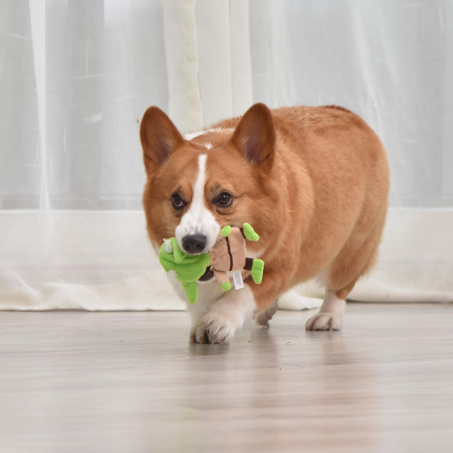 Star Wars Dog Toy Yoda 5 Inch Plush Flattie Dog Toy - Small Yoda Dog Toy, Small Dog Chew Toy for All Dogs - Flat Dog Toy, Stuffingless Dog Toy for Pets