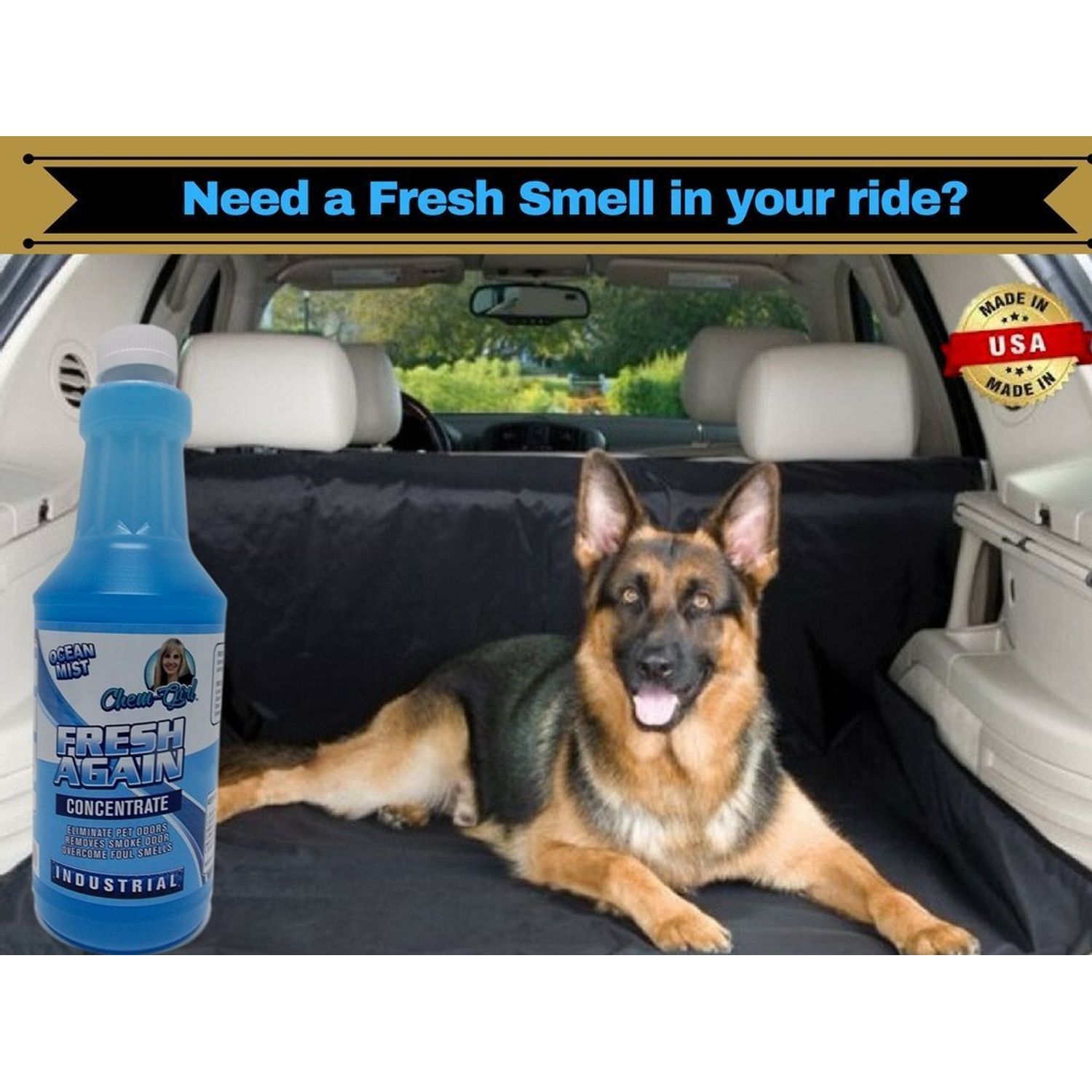 Chem-Girl | FRESH AGAIN Odor Remover & Deodorizer - Neutralizes Foul Odors in Upholstery, Carpet, Air, Shoes, Rugs, Clothes, Dog Beds, Litter Boxes | Industrial Strength Concentrate - 1 Quart