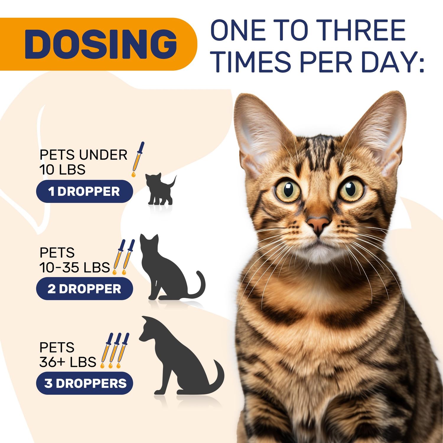 Dog Allergy Relief for Puppies & Adult Ones – Cat & Dog Itching Skin Relief Helps with Irritation & Supports General Well-Being – Cat Itchy Skin Treatment with Organic Composition – 2 Oz Bottle