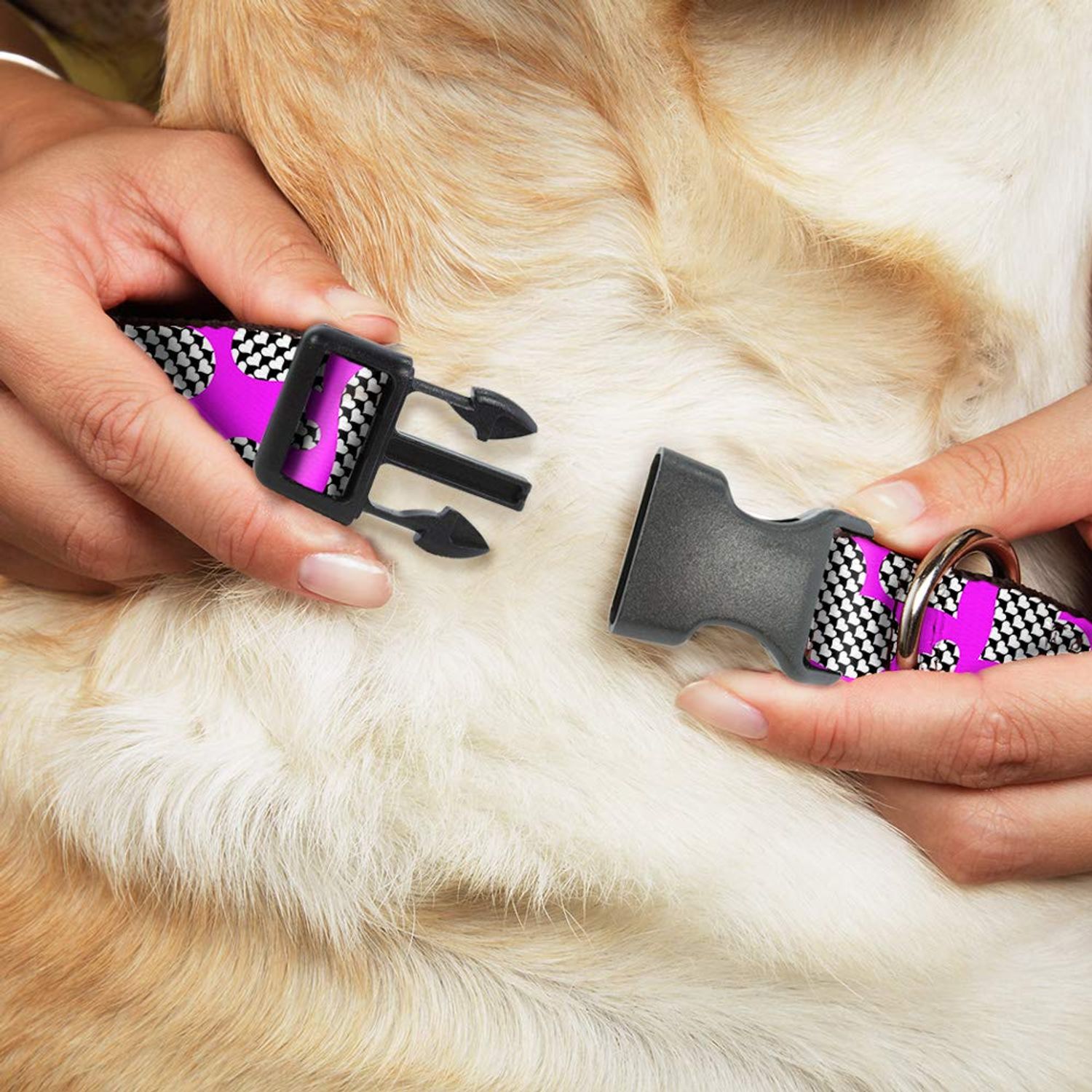 Dog Collar Plastic Clip Eighties Hearts Fuchsia Black White 18 to 32 Inches 1.5 Inch Wide