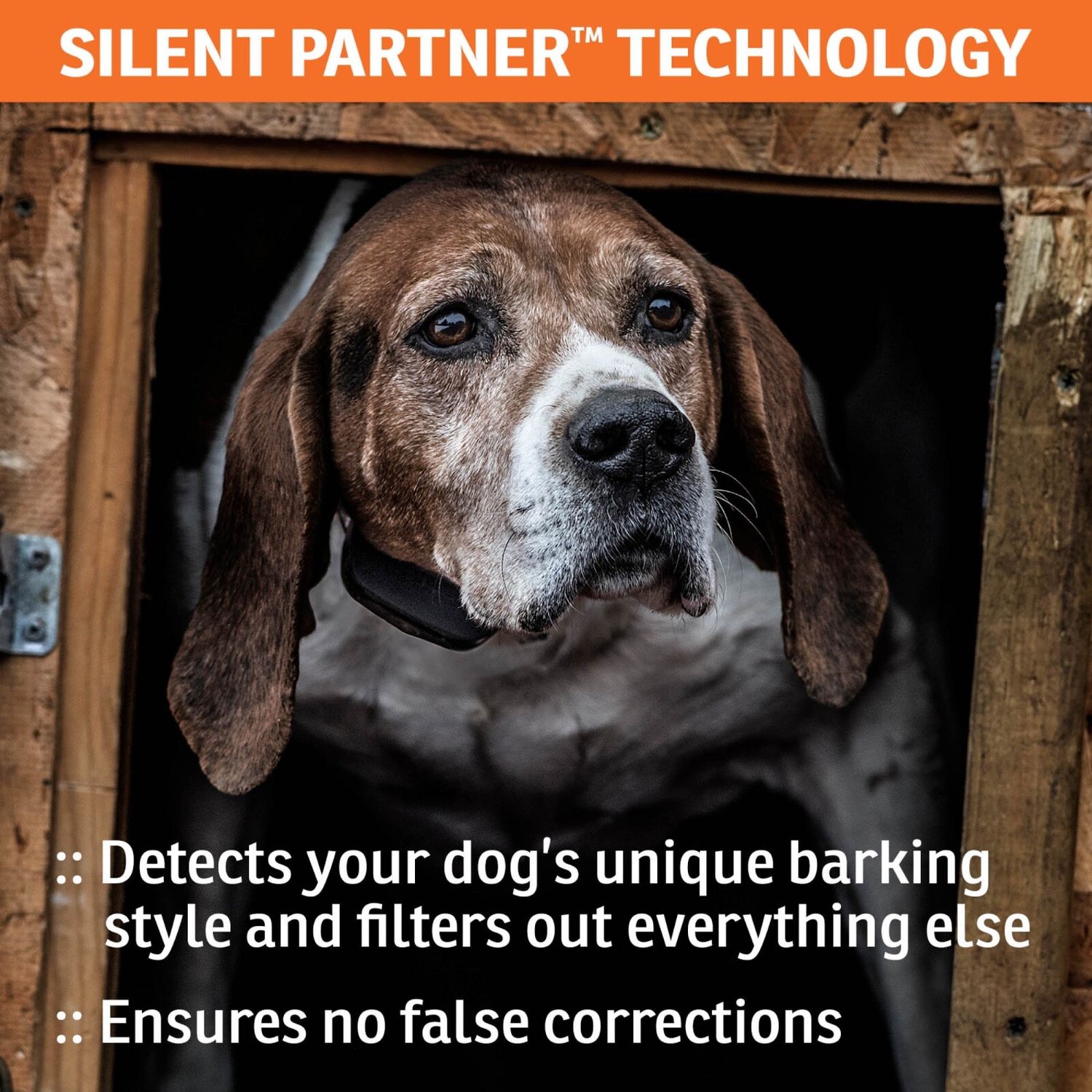 SportDOG SBC-R - Customizable NoBark Dog Collar with Silent Partner Technology