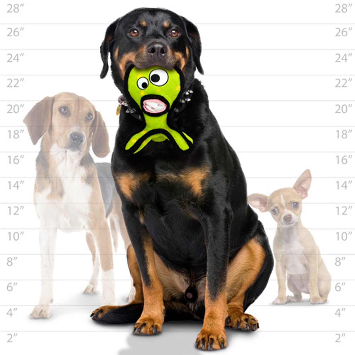 TUFFY - World's Tuffest Soft Dog Toy - Alien G3 Green - NO Squeakers - Multiple Layers. Made Durable, Strong & Tough. Interactive Play (Tug, Toss & Fetch). Machine Washable & Floats