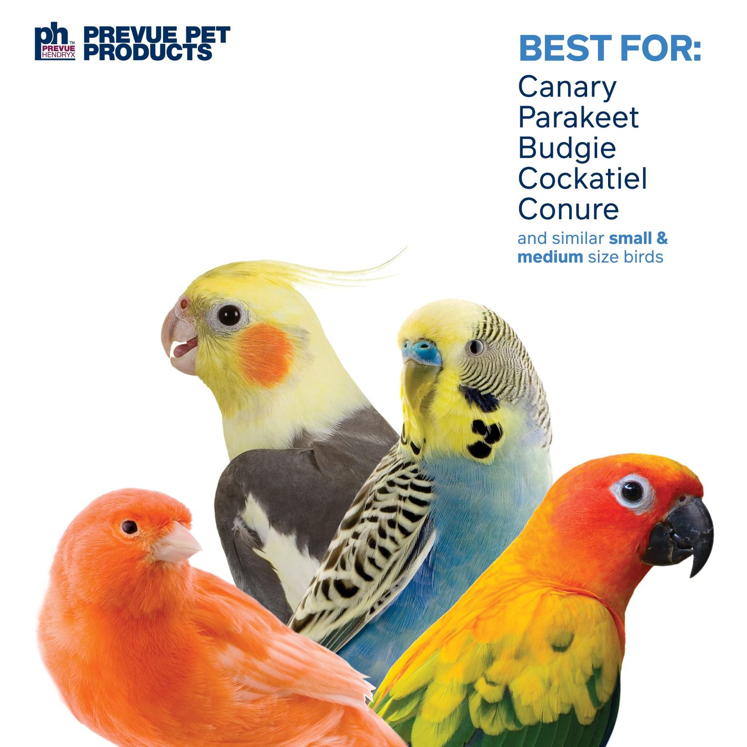 Prevue Pet Products 62636 Calypso Creations Over The Rainbow Bird Toy, Multi, Medium