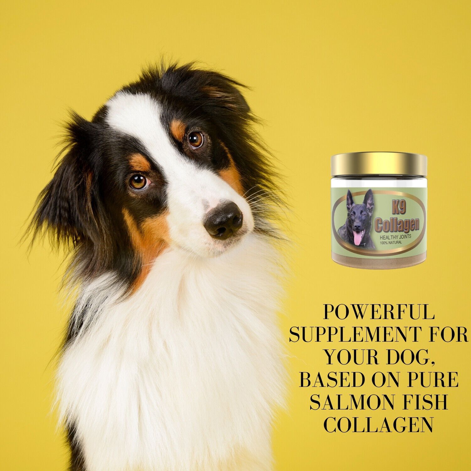 Collagen Hip-Joint Pet Dog Supplements Improve Mobility Health For 1 Month