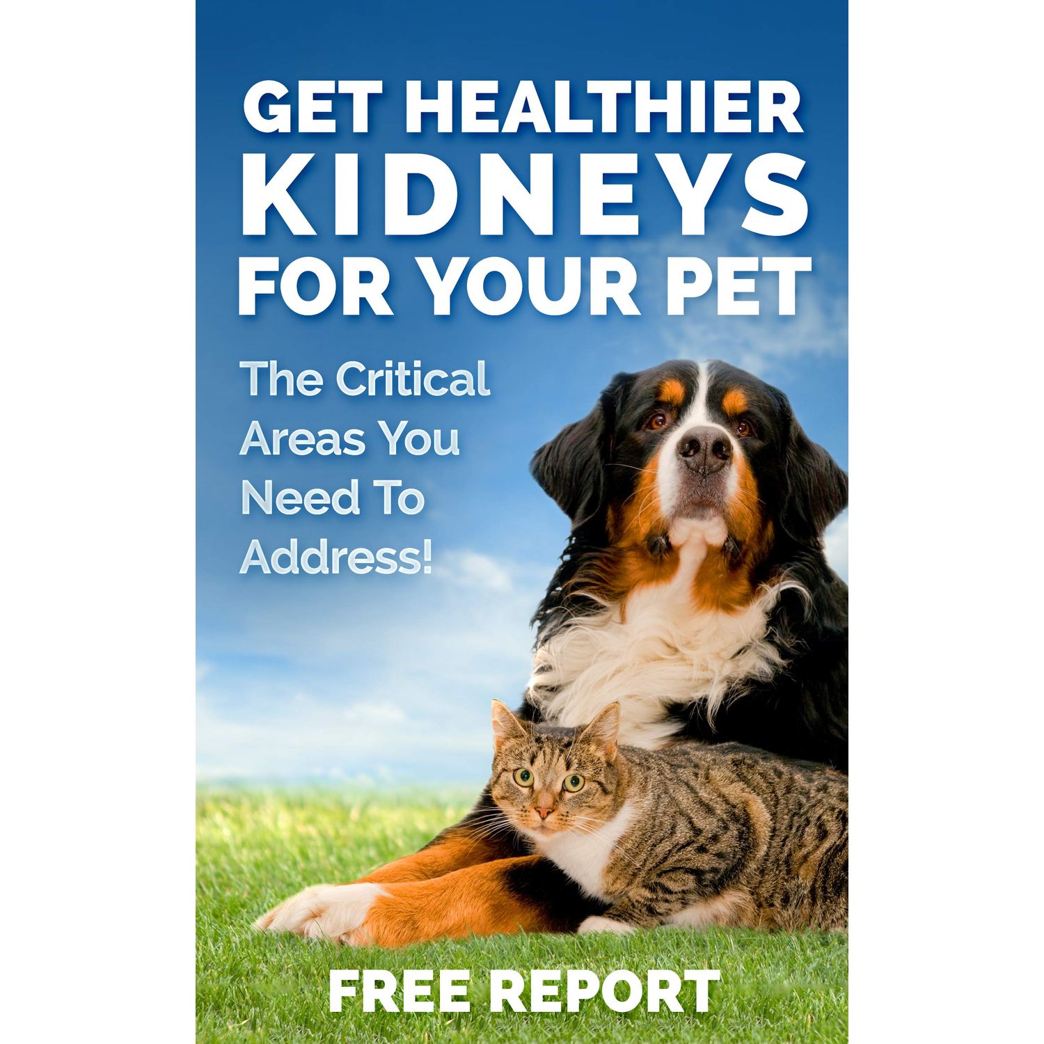 Cat and Dog Kidney Support, Natural Renal Supplements to Support Pets, Feline, Canine Healthy Kidney Function and Urinary Tract. Essential for Pet Health, Pet Alive, Easy to Add to Cats and Dogs Food