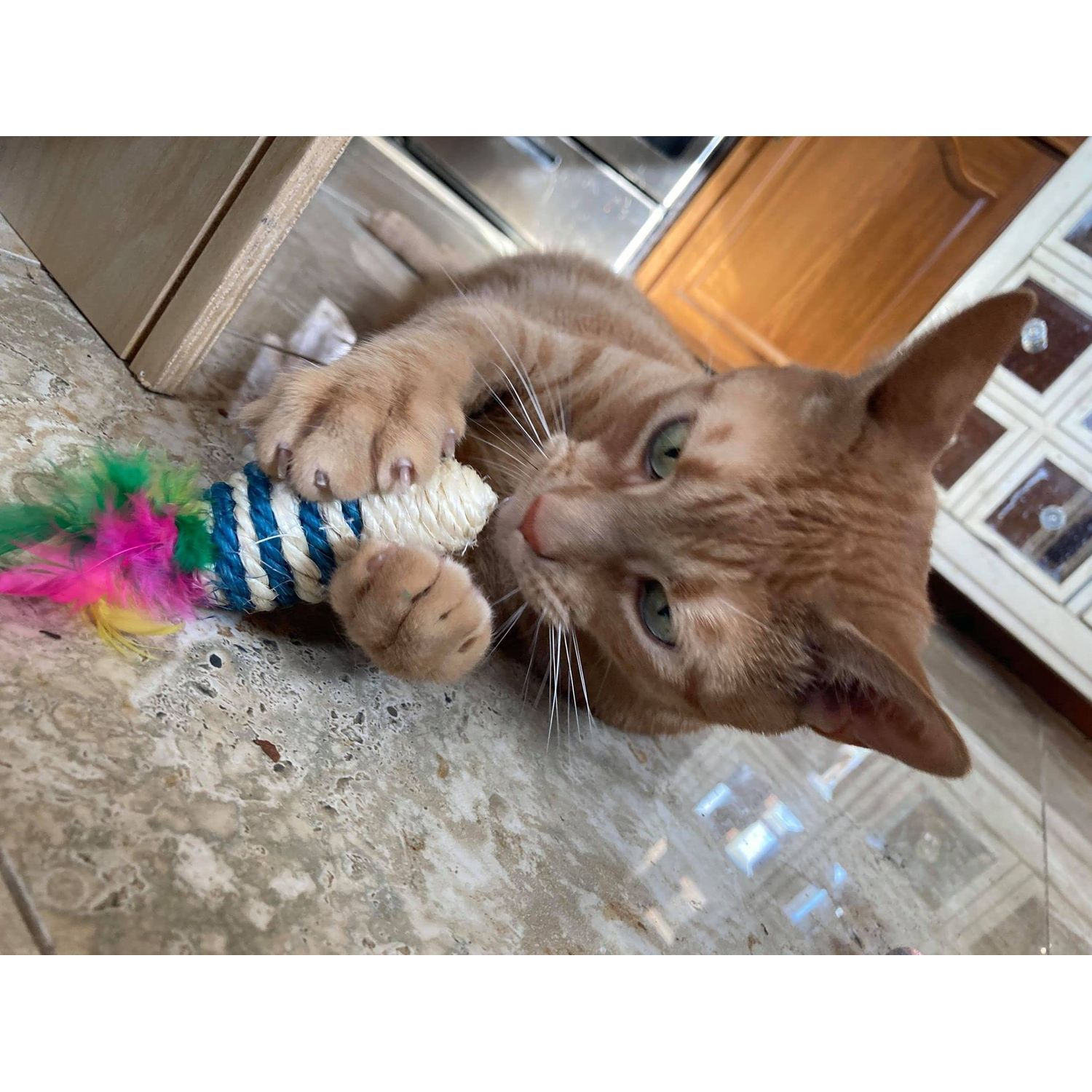 Smokey's Stash Catnip Filled Cat Toys with Sisal Mouse and Ball