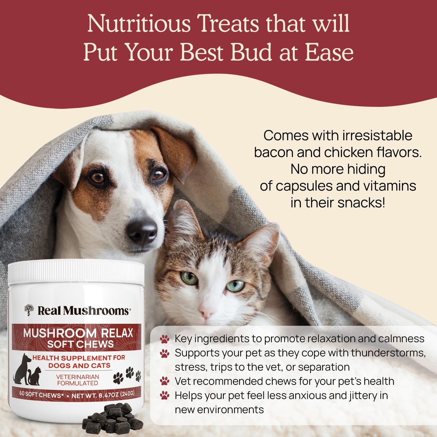 Real Mushrooms Calming Chews for Dogs - Cat Dog Treats w Reishi Lions Mane, Dogs, Relaxation, Bites Pet, 60ct