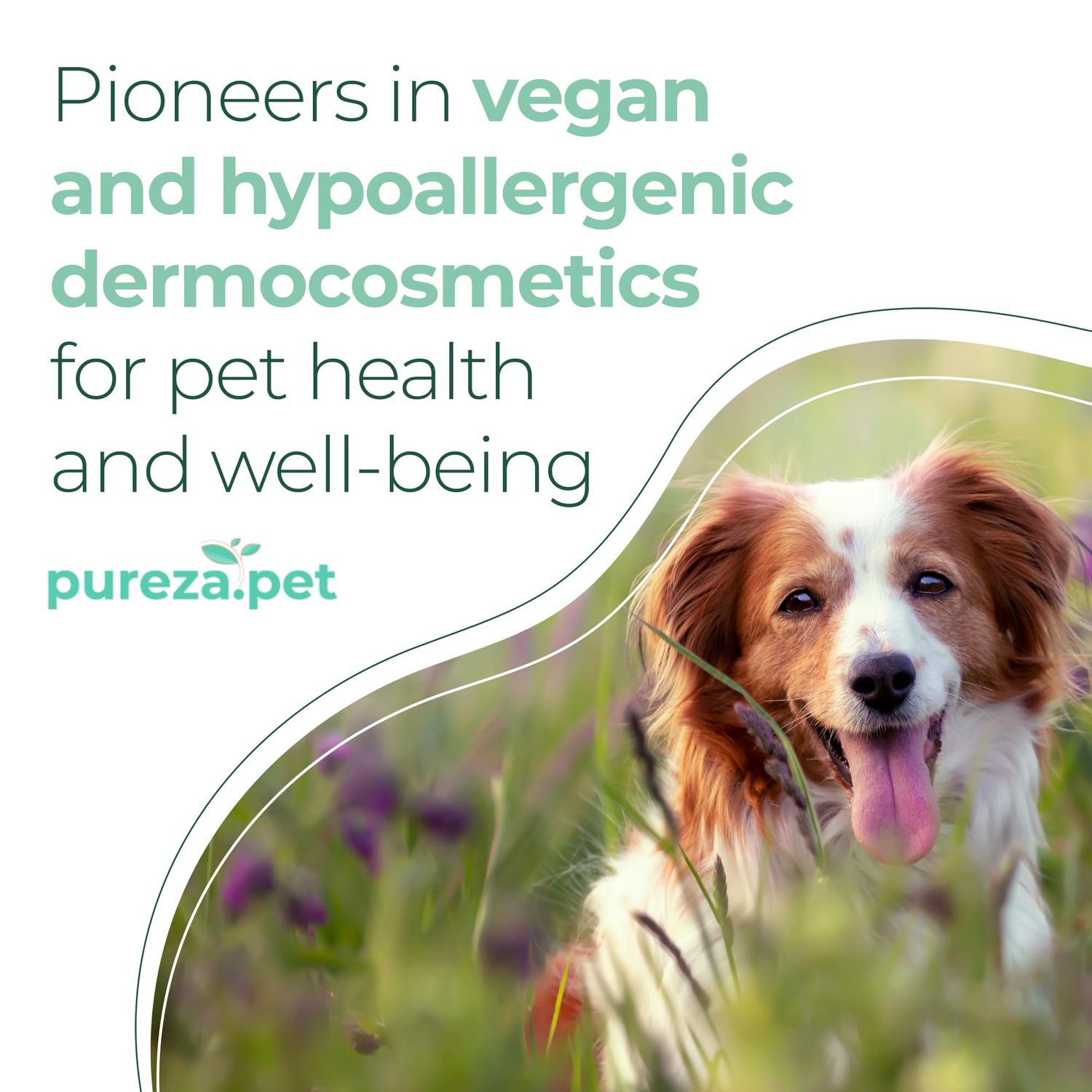 Hypoallergenic Shampoo for Sensitive Skin for Pets - Fur Cleanse, Nourishment & Hydration, All Ages Pet Grooming Products, Horse, Cat Dog Bath Supplies - Vegan, Paraben-Free - 10.1fl oz - PUREZA PET
