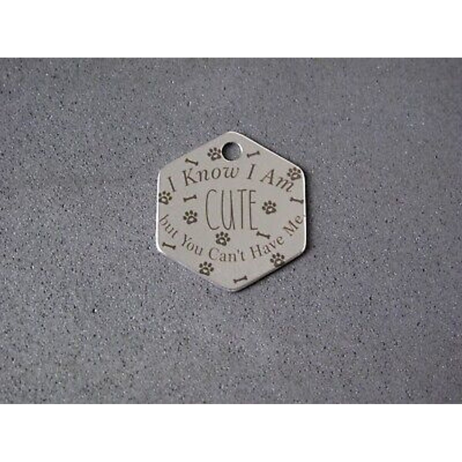 Stainless Steel Pet ID Tags Dog Tags, I Know I am Cute Front Personalize Back...