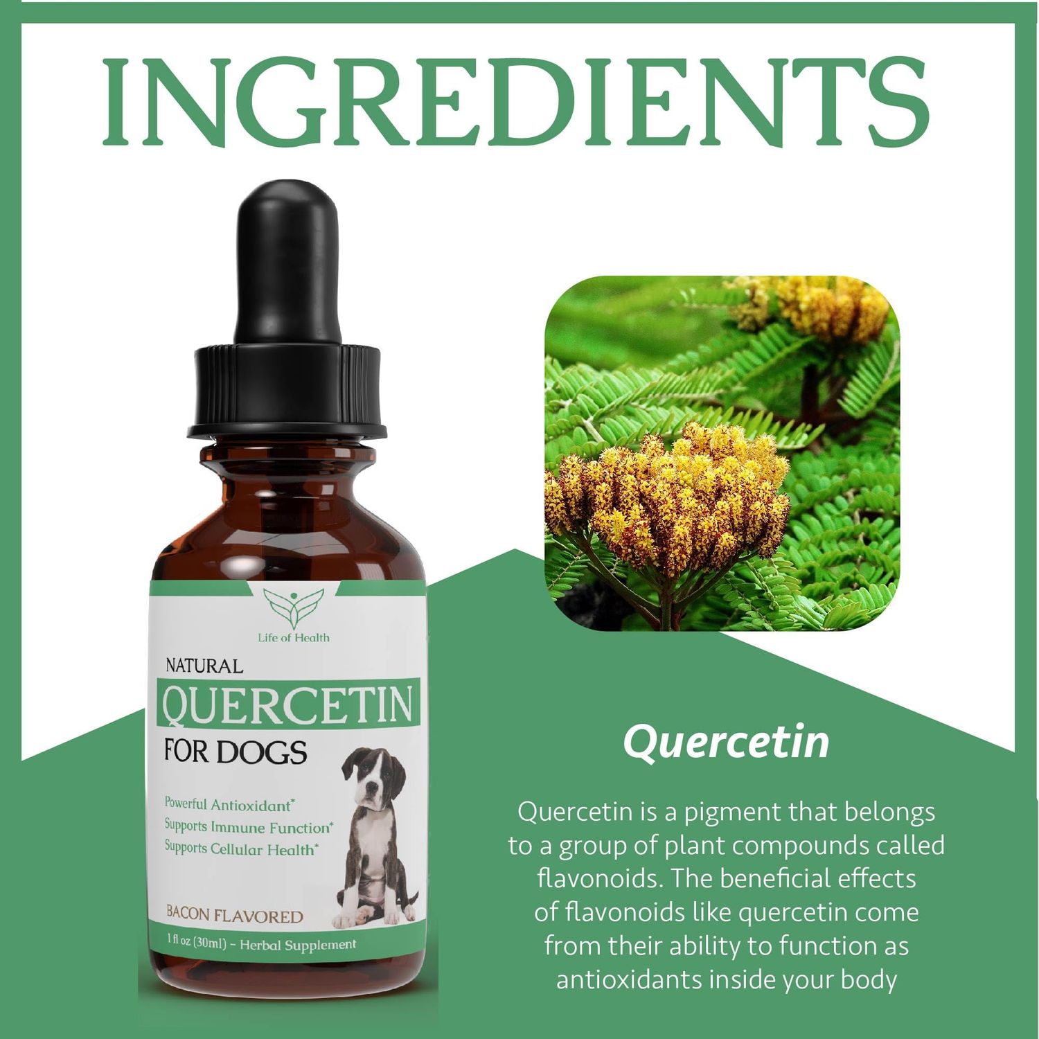 Quercetin for Dogs - Quercetin for Dogs Allergies - Dog Allergy Support - Dog Allergy - Quercetin - Quercetin Dog - Dog Allergies - Quercetin Supplements - Dog Allergy Relief - 1 fl oz