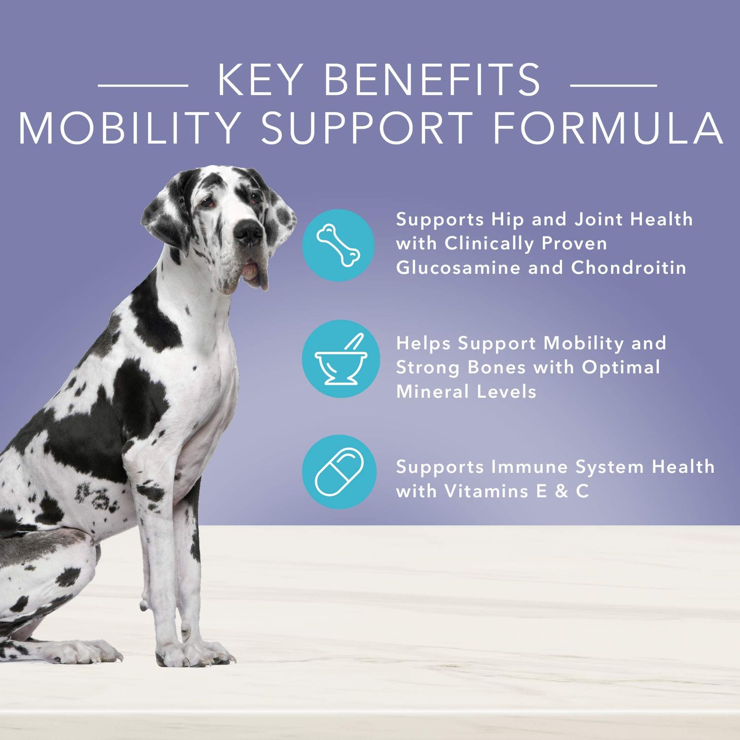 Blue Buffalo True Solutions Jolly Joints Natural Mobility Support Adult Dry Dog Food, Chicken 11-lb