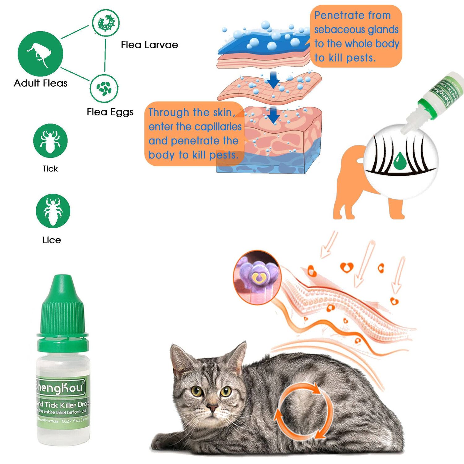 ShengKou Natural Flea Treatment for Cats (2-25 lbs) | 9-Month Supply with Comb, Tick Tool & Repellent Collar, Vet-Reviewed Formula