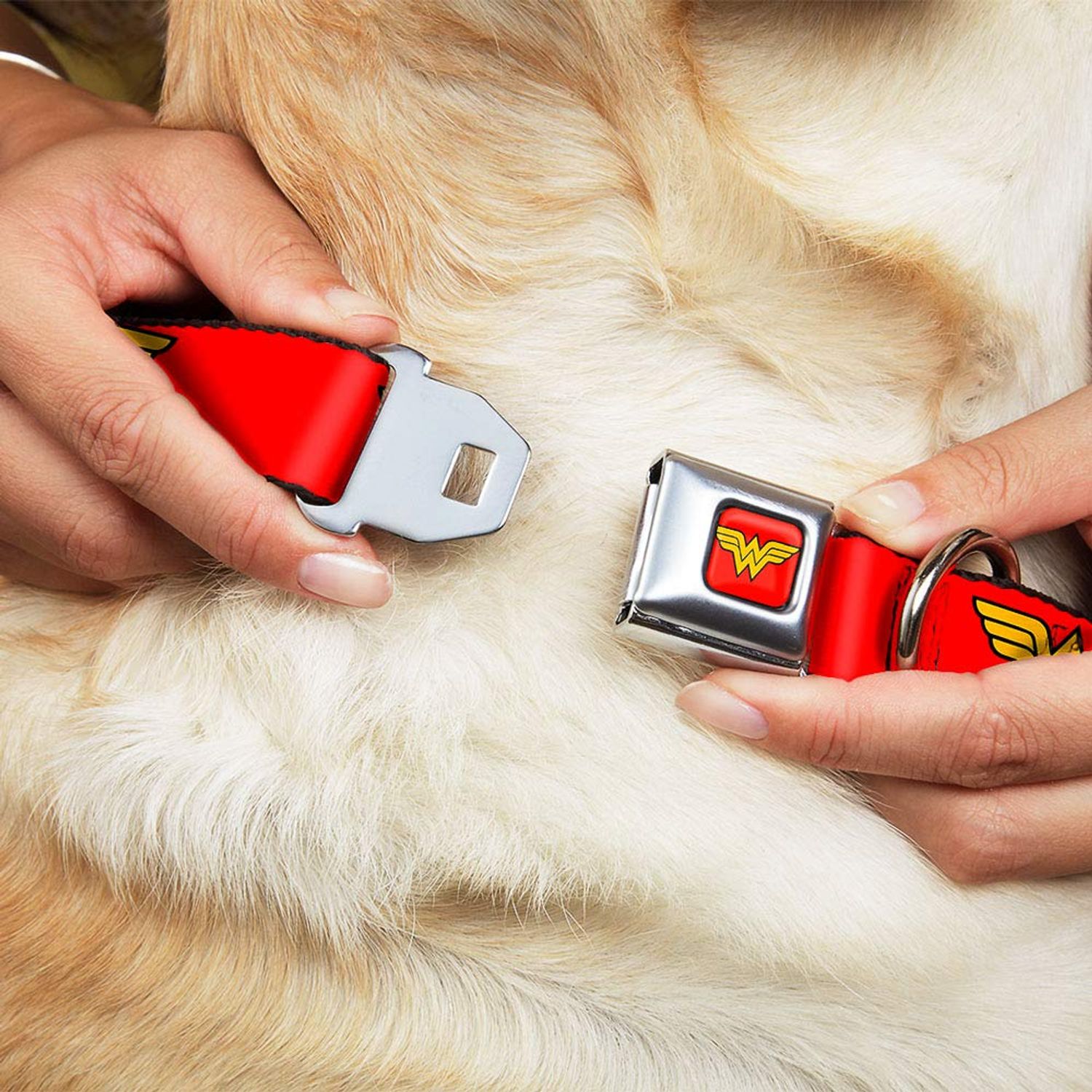 Dog Collar Seatbelt Buckle Wonder Woman Logo Red 15 to 26 Inches 1.0 Inch Wide