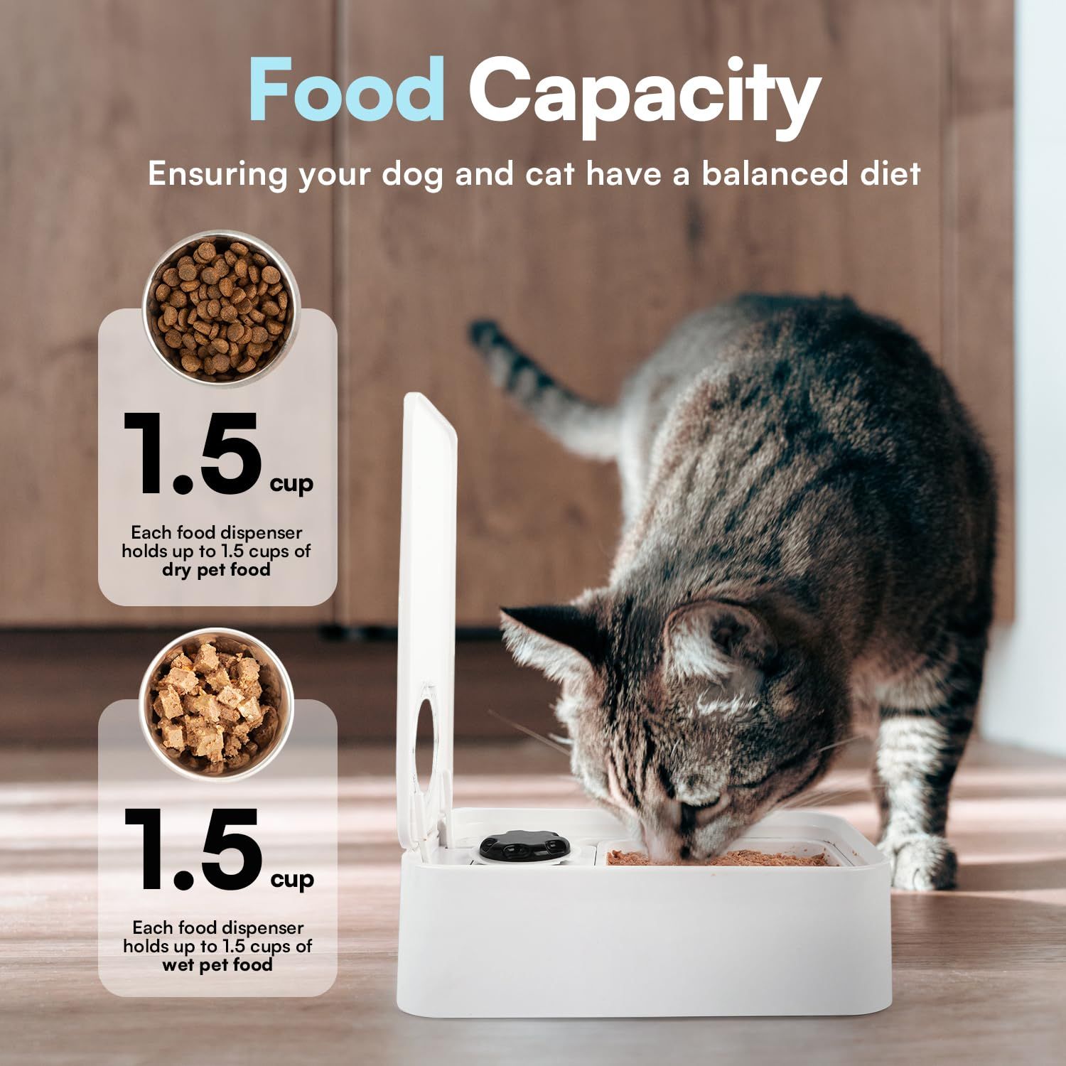ALL FOR PAWS Timed Dog Feeder with Ice Pack – 1 Meal | Automatic Pet Food Dispenser | Portion Control | Keep Fresh | Ideal for All Dog Breeds (1 Meal)