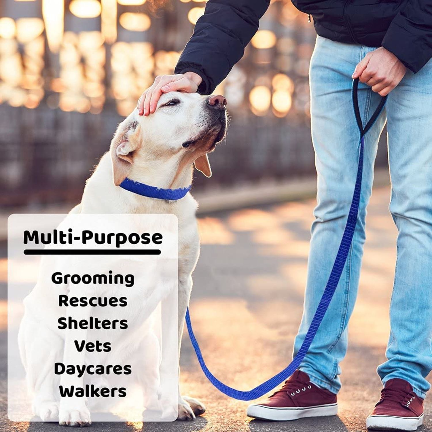 Downtown Pet Supply Slip Lead Dog Leash 12 Pack, 4' x 1/2" - Universal Dog Slip Leash with Metal O Ring - Machine Washable Dog Slip Lead for Groomers, Shelters, Rescues, Vets, or Doggy Daycares