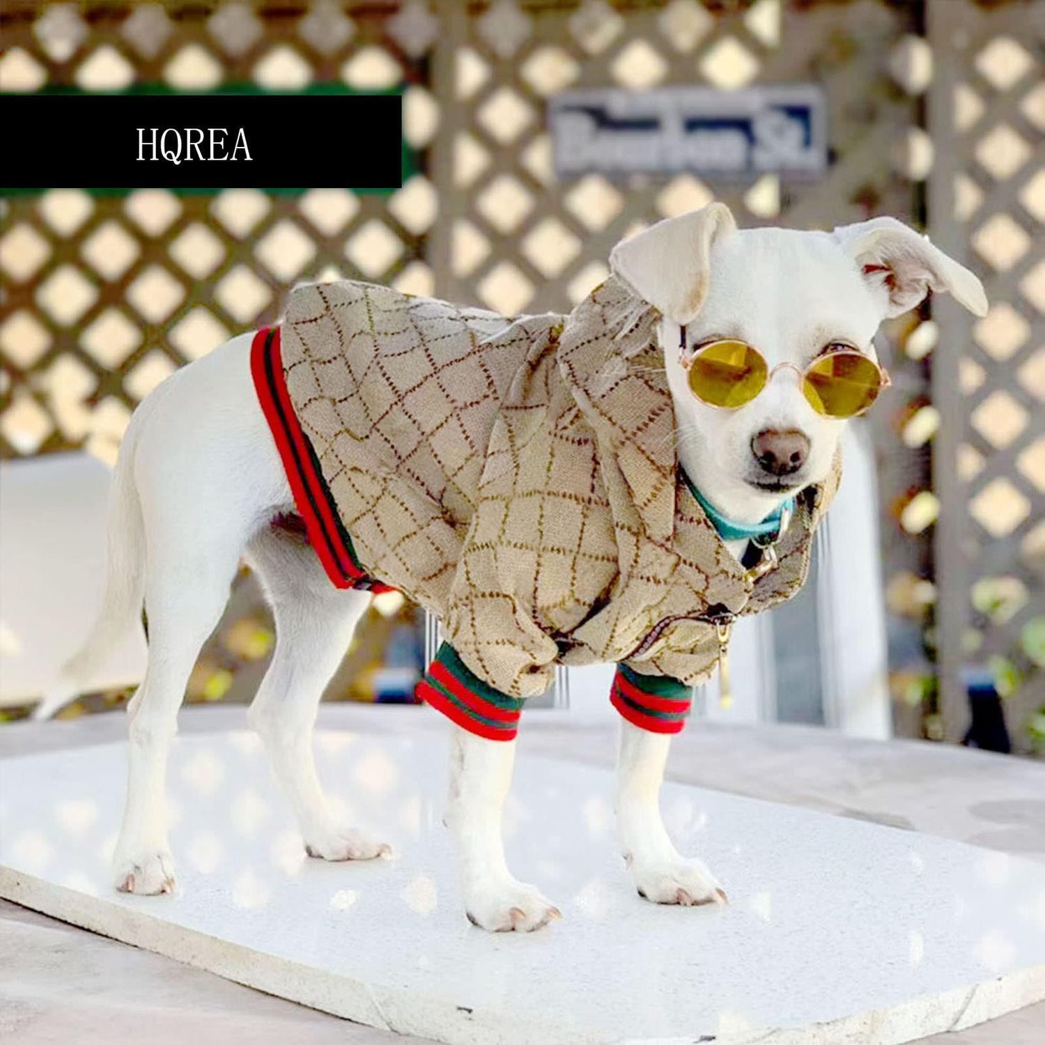 HQREA Dog Hoodie Luxury Winter Small Dog Jacket Clothes Classic Designer Warm Pet Coats Zipper Design Easy On/Off French Bulldog Teddy Pug Puppy Clothes(S)