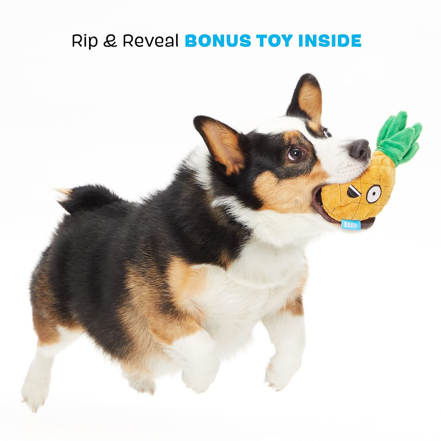 Barkbox 2 in 1 Interactive Plush Dog Toy - Rip and Reveal Toy for Dogs and Puppies - Stimulating Squeaky Pet Toys | Penny Pineapple (Small)