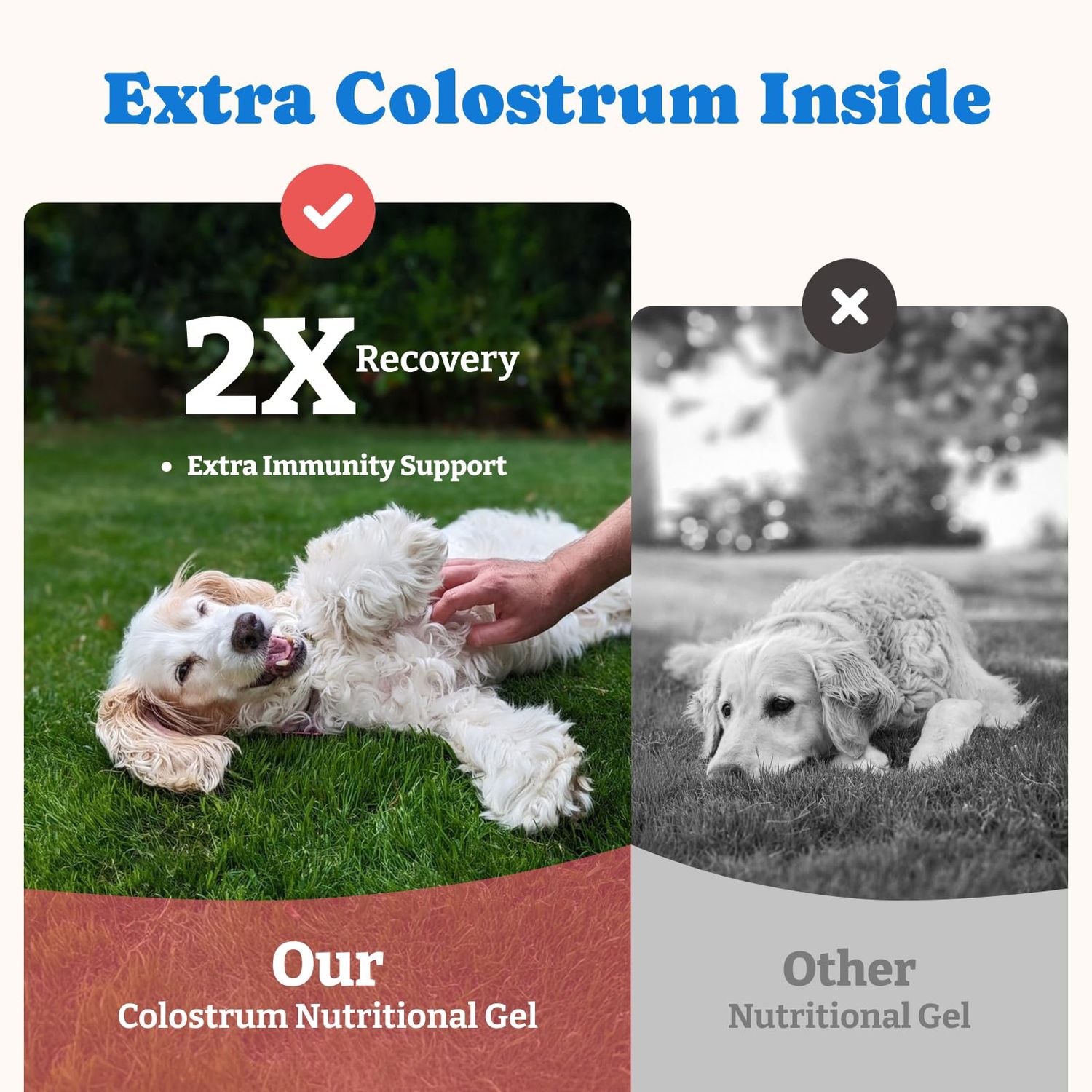 YoYoBay Bovine Colostrum Nutritional Gel for Dog & Cat - Immune Support, Digestive Health & Skin Care, Dog Allergy Relief, High Calorie Supplement for Dogs and Cats, Dogs Weight Gainer