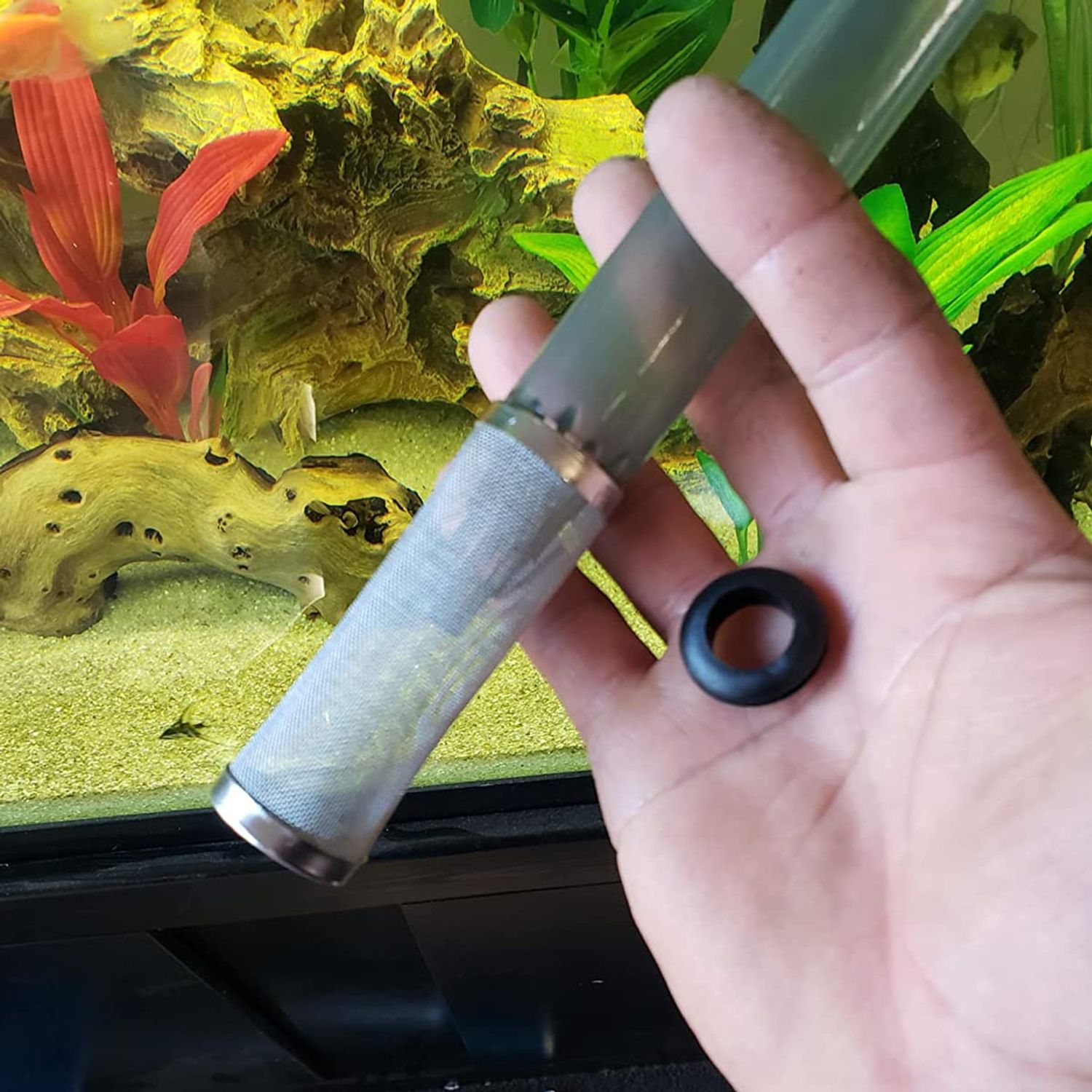 Bilindasly 12mm Stainless Steel Aquarium Inflow Inlet Filter Aquarium Filter Intake Cover Fish Shrimp Mesh Net Filter Guard Fish Tank Intake Strainer Cover