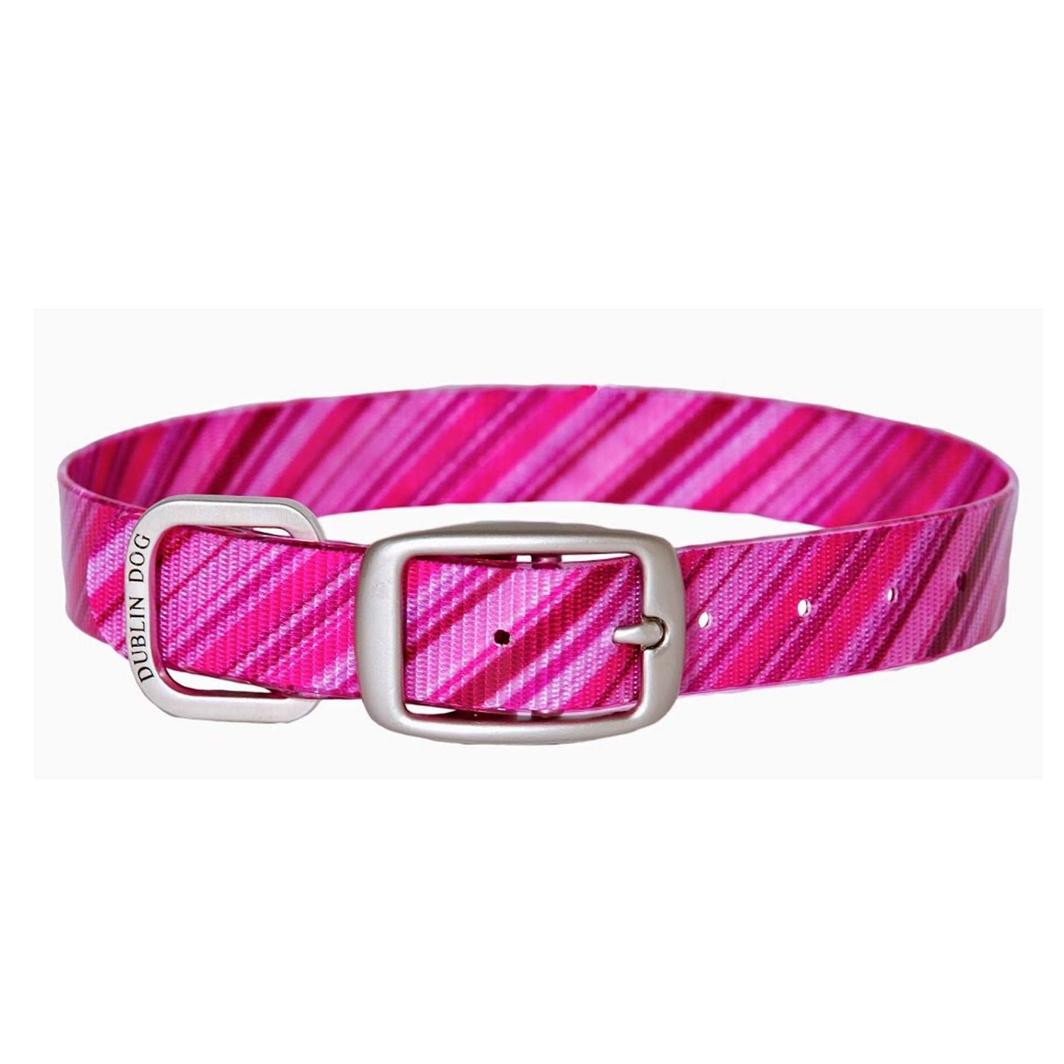 Dublin Dog Koa Collection Oxford 12.5 by 17-Inch Dog Collar, Medium, Apple Orchard
