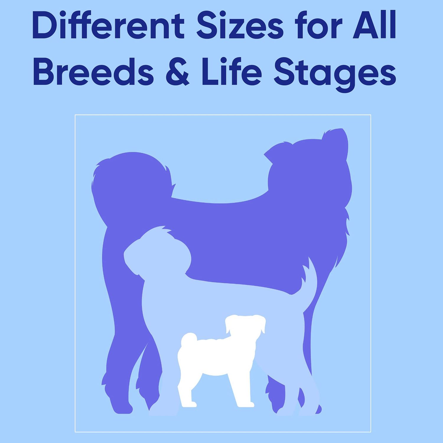 Pawtitas Reflective Step in Dog Harness or Reflective Vest Harness, Comfort Control, Training Walking of Your Puppy/Dog Large Dog Harness L Teal Dog Harness
